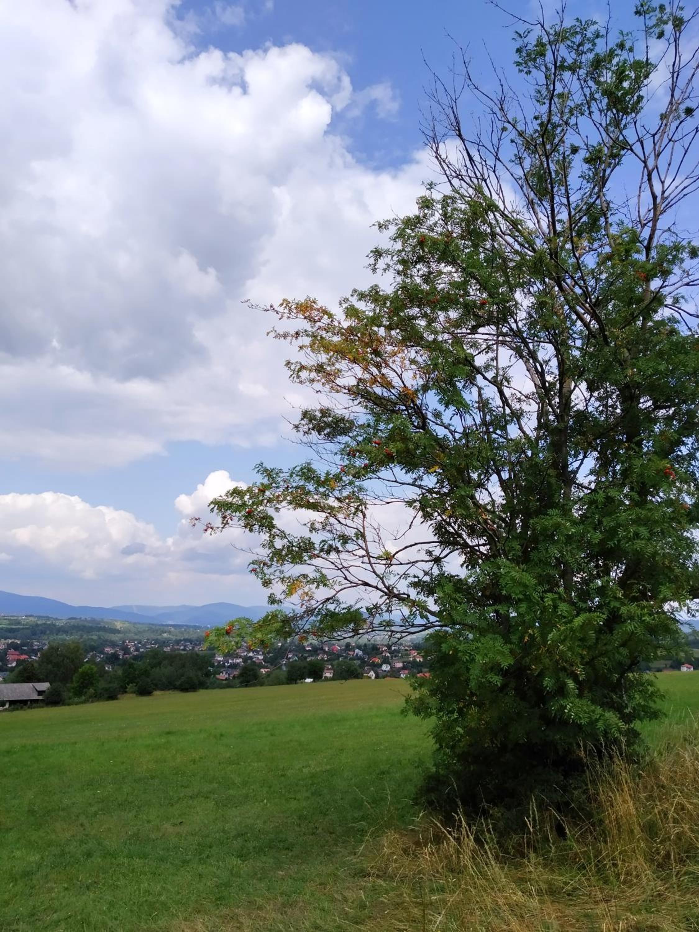 Photo 49