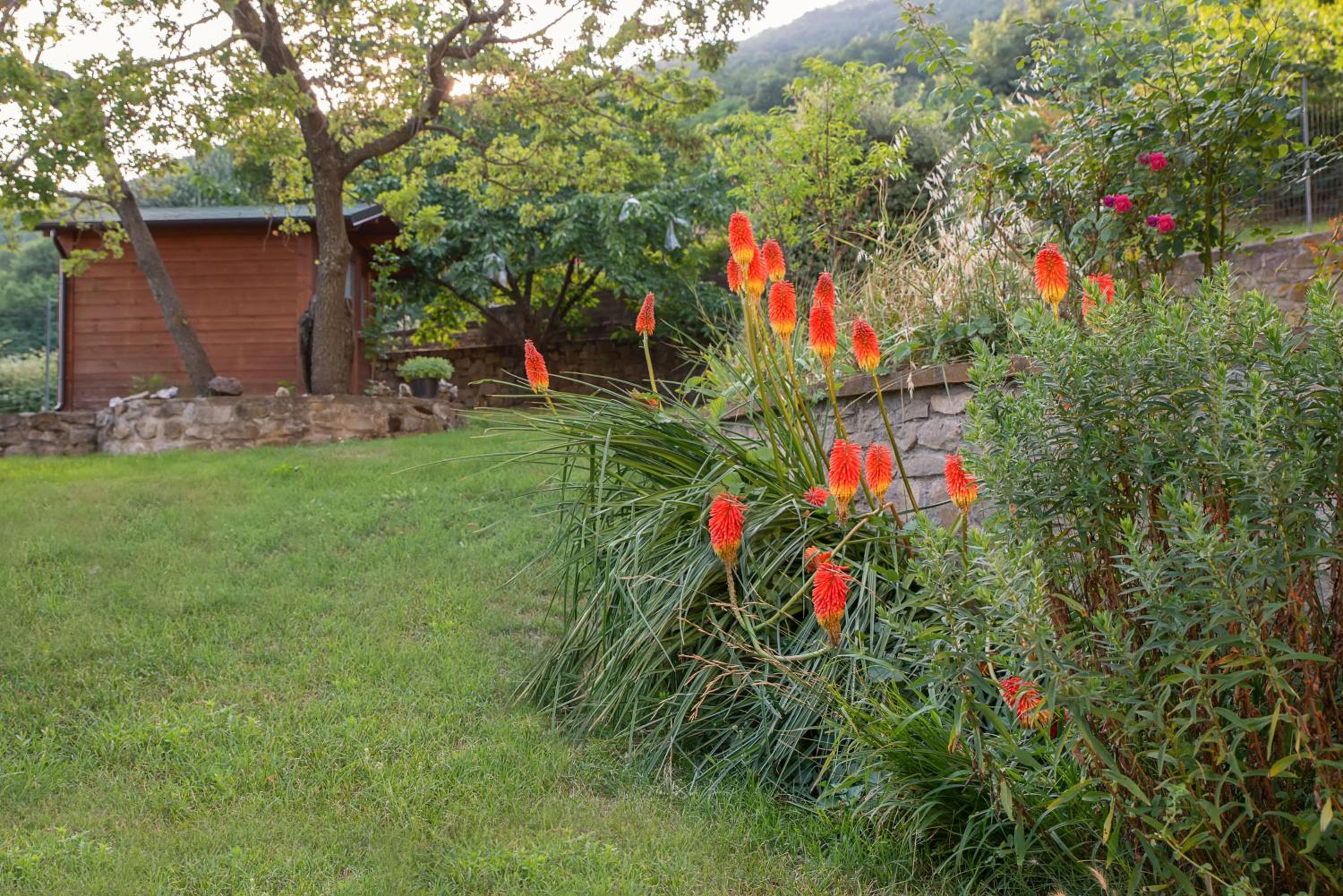 Casa Vacanze Villa Antonietta view 5