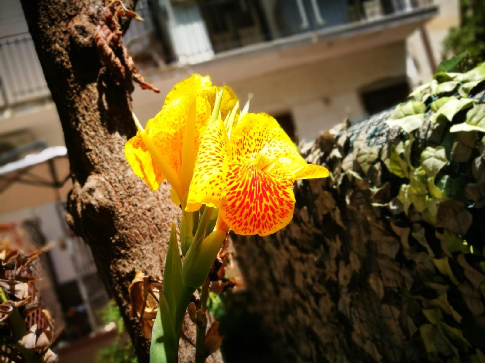 Photo 42