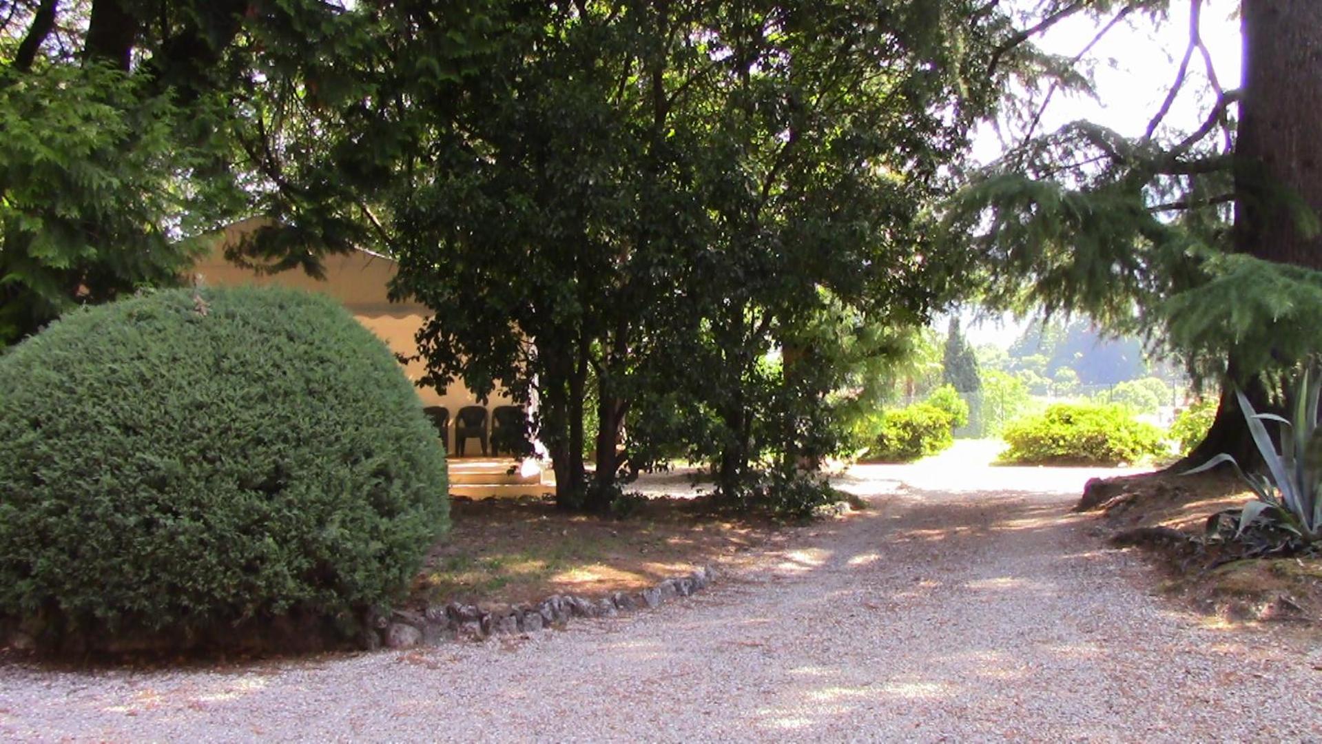 Photo 29
