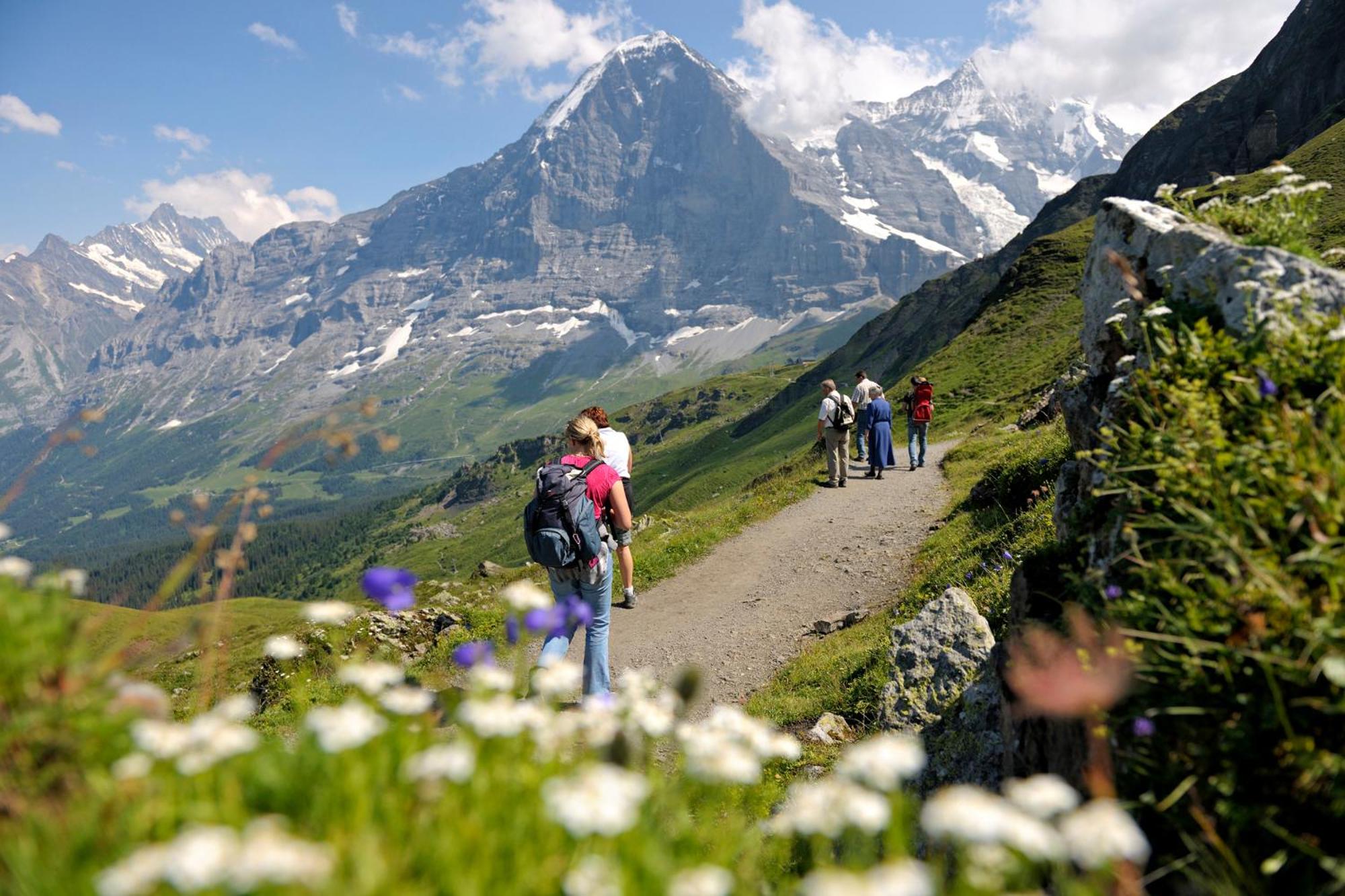 Luxury, new - amazing views Grindelwald Eiger Jungfrau Mönch