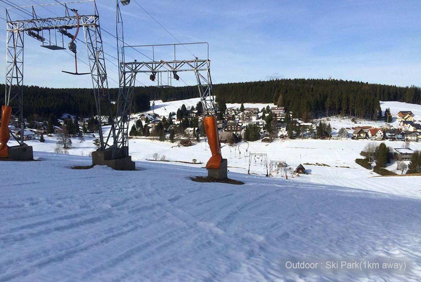 71 square meters Condo in Schwarzwald with beautiful mountain view, swimmingpool, sauna & free wifi view 5