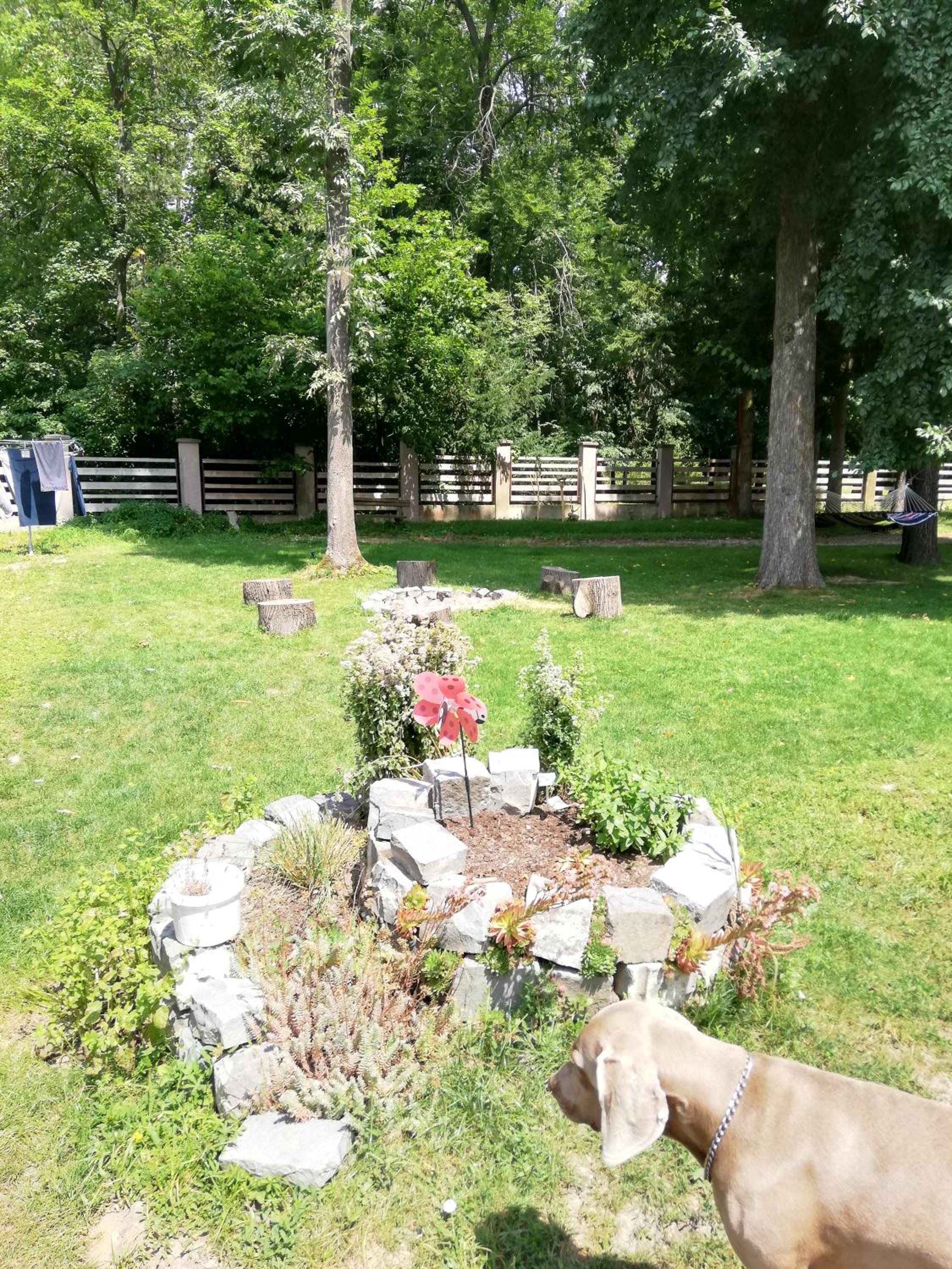 Photo 11