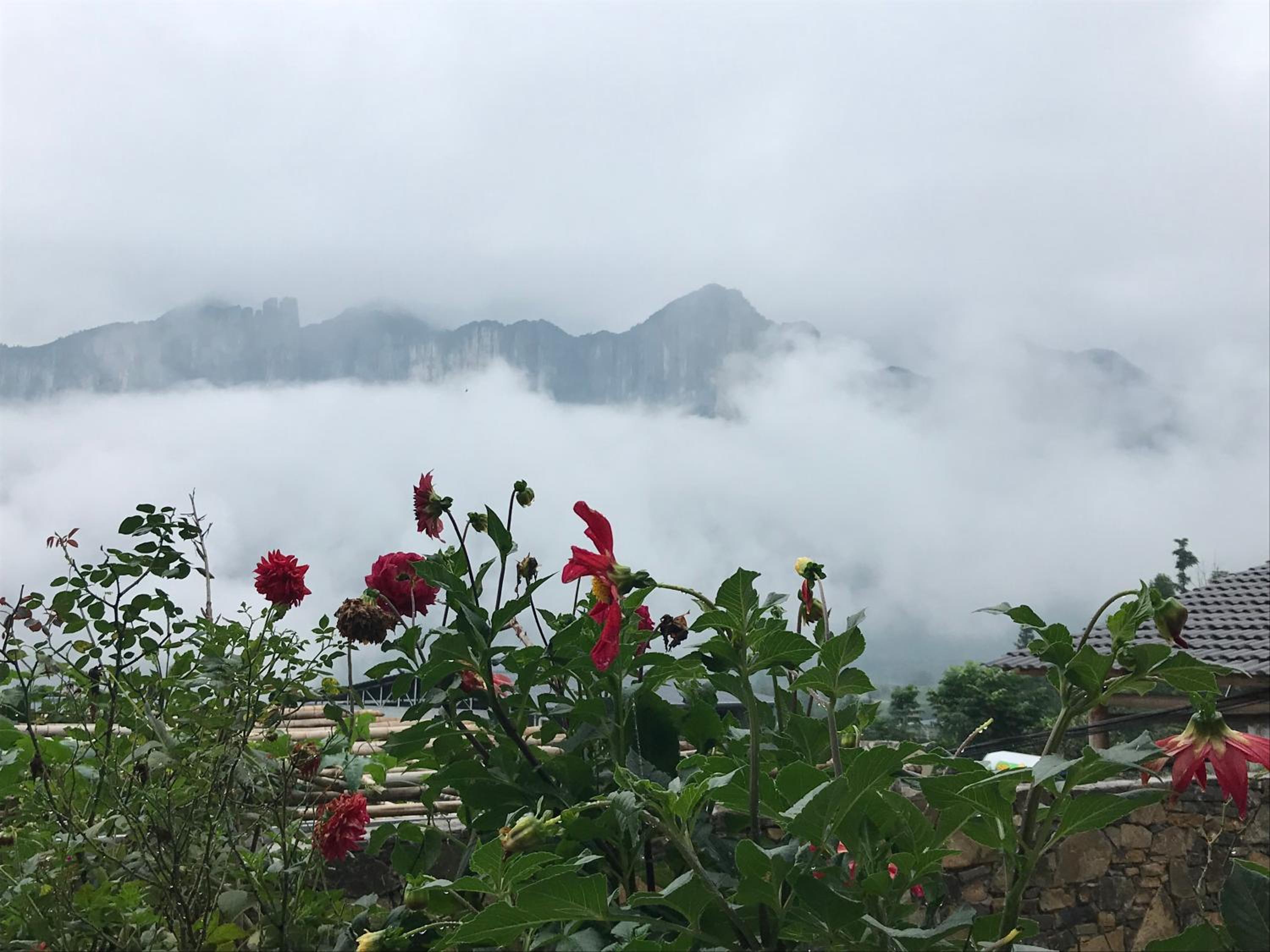 Enshi Grand Canyon Chunlun Farmstay