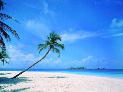 Sanya Tropical Coast Hotel
