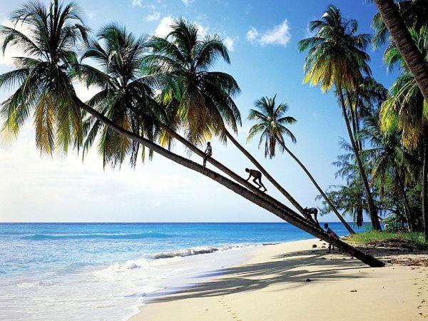 Sanya Tropical Coast Hotel