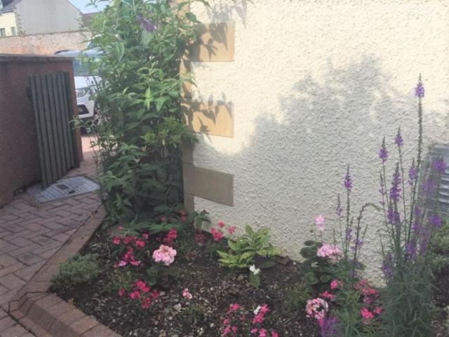 Photo 38