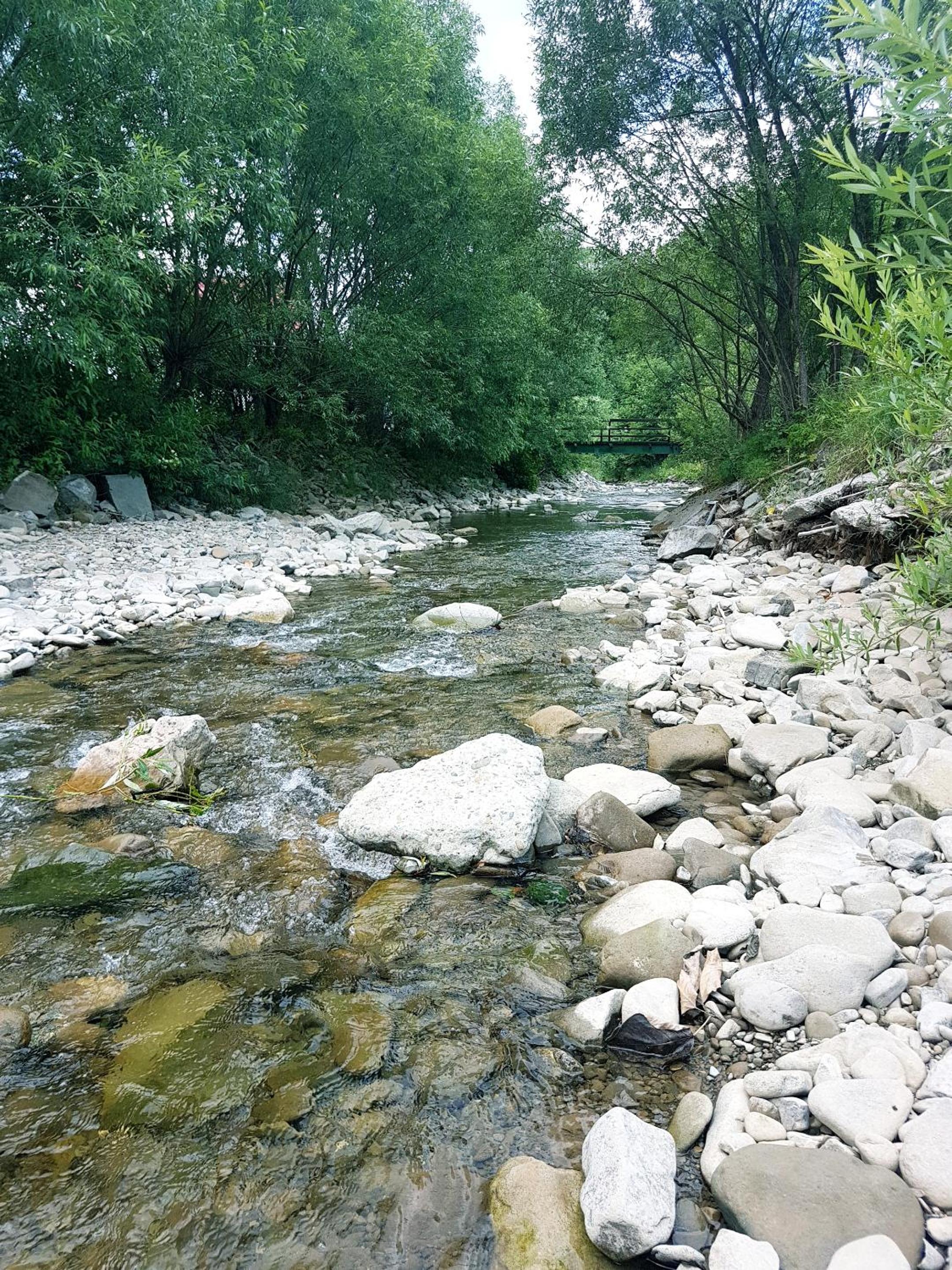 Dom z bali w Rycerce Górnej view 4