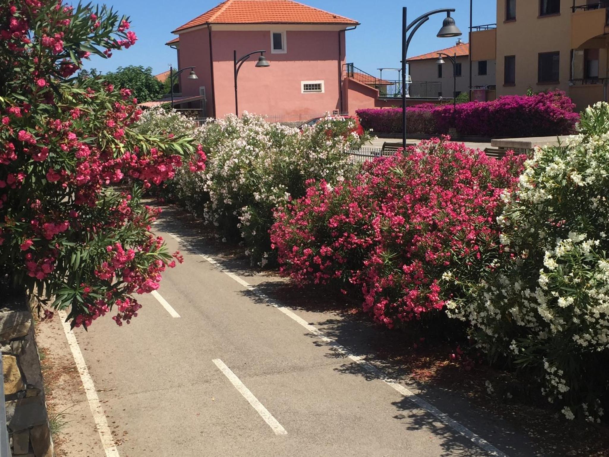 Sun, beach and bike by Le Case di Tati view 4