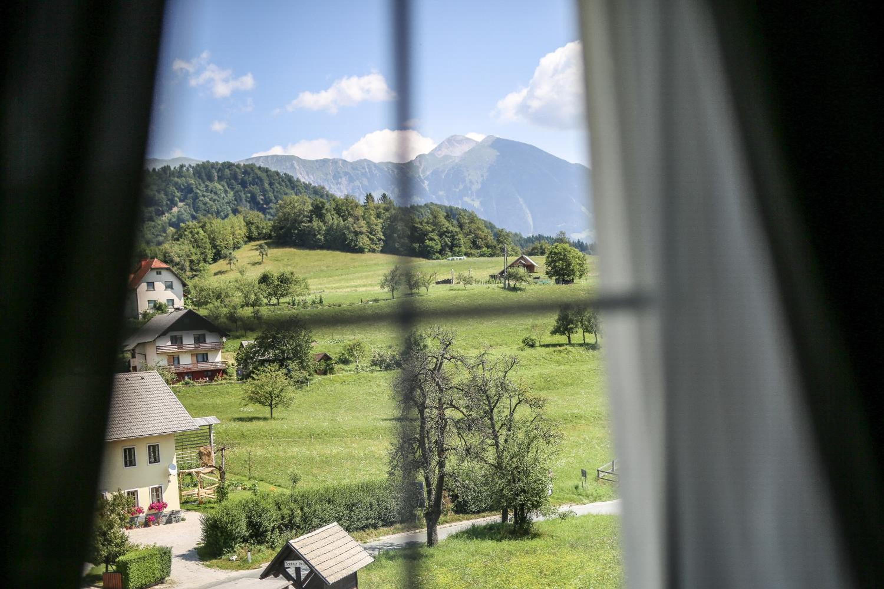 Vila Freya near Bled view 2