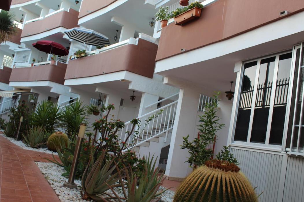 bonito apartamento 109 by CASAS COCODRILO view 2