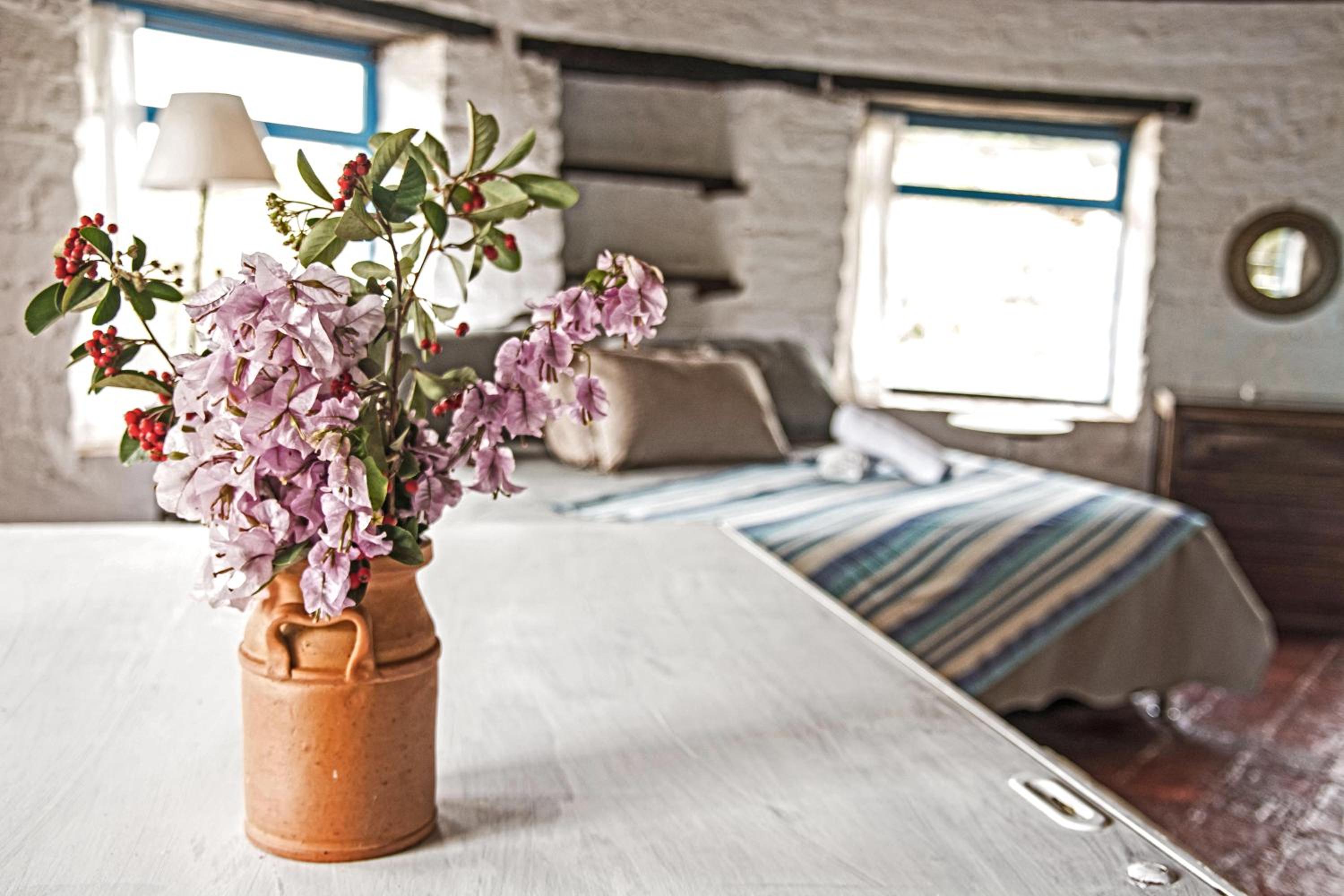 El Hayuelo Ecolodge