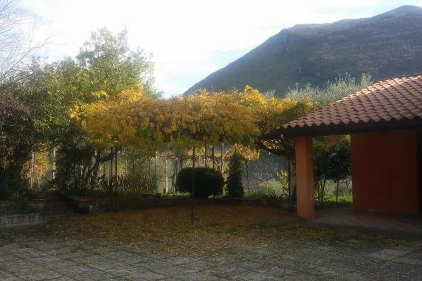 Photo 21