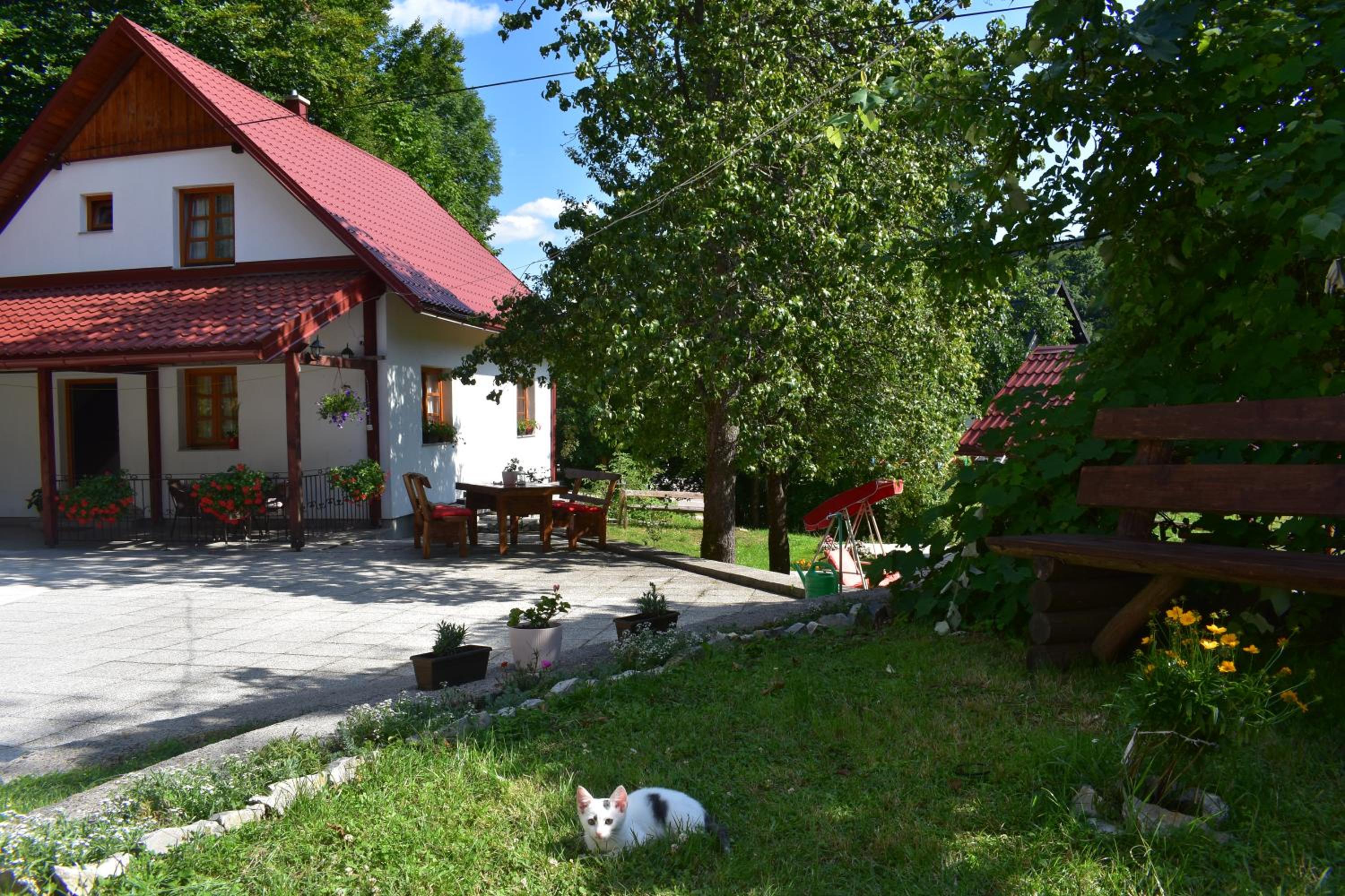 Photo 22