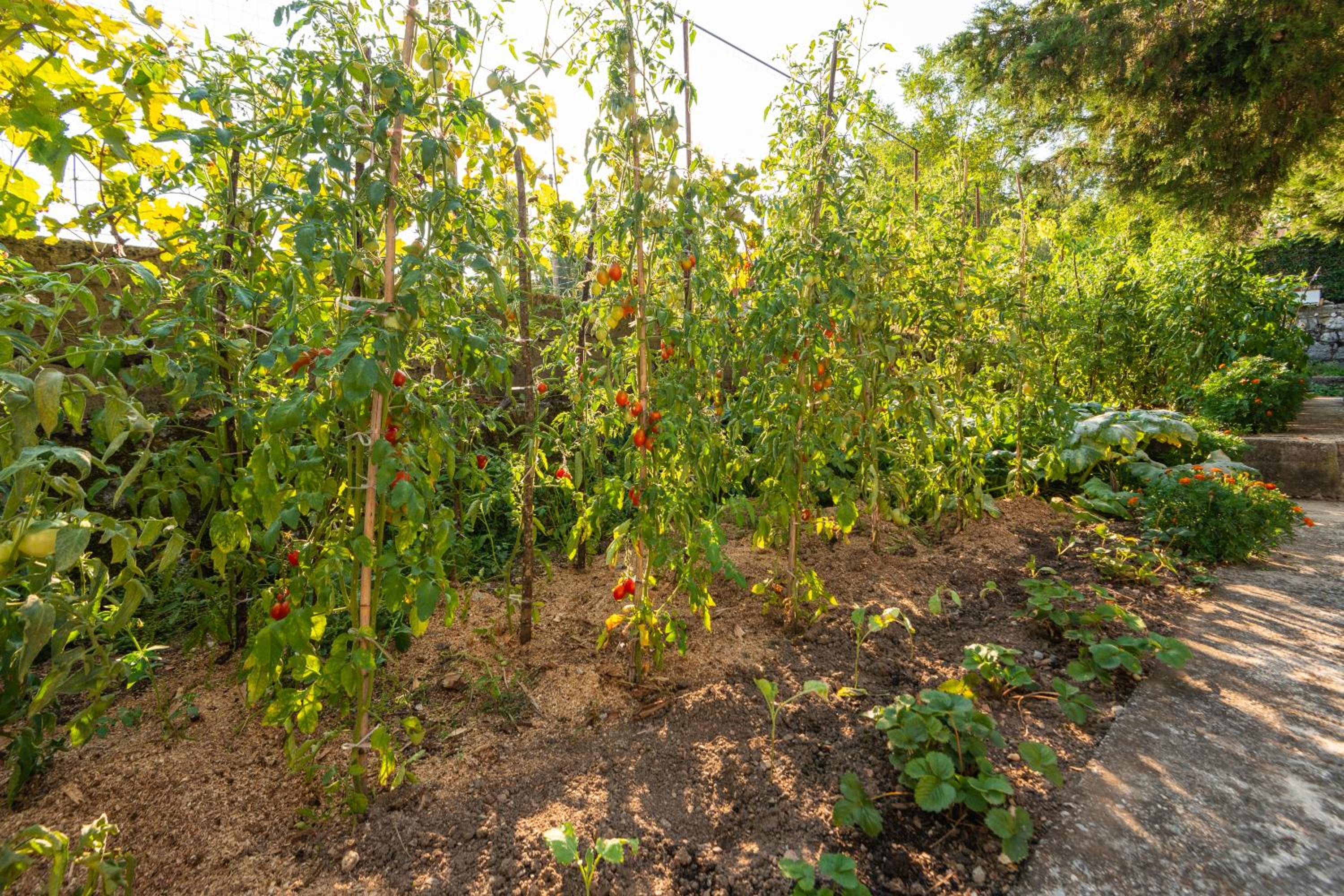 Honey Farm House photo 5