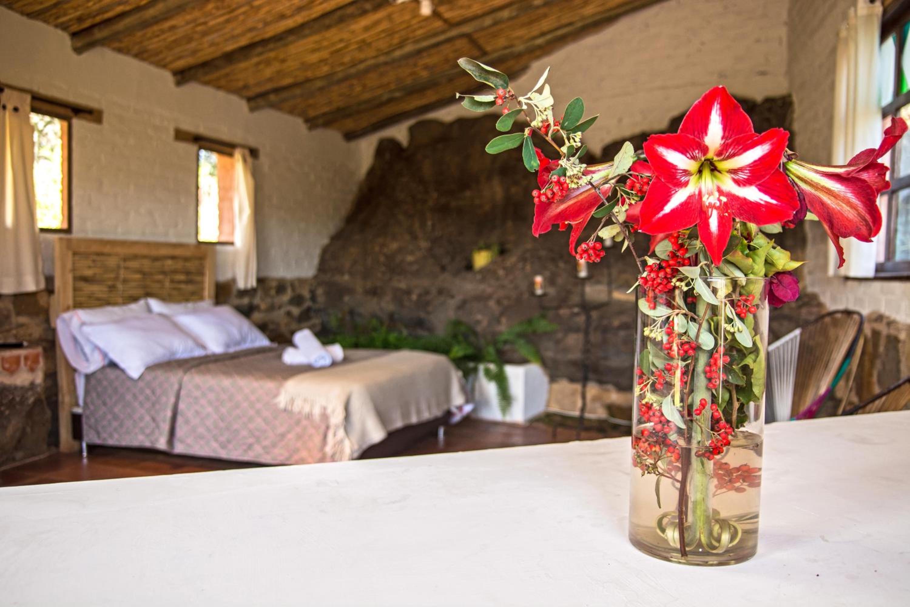 El Hayuelo Ecolodge