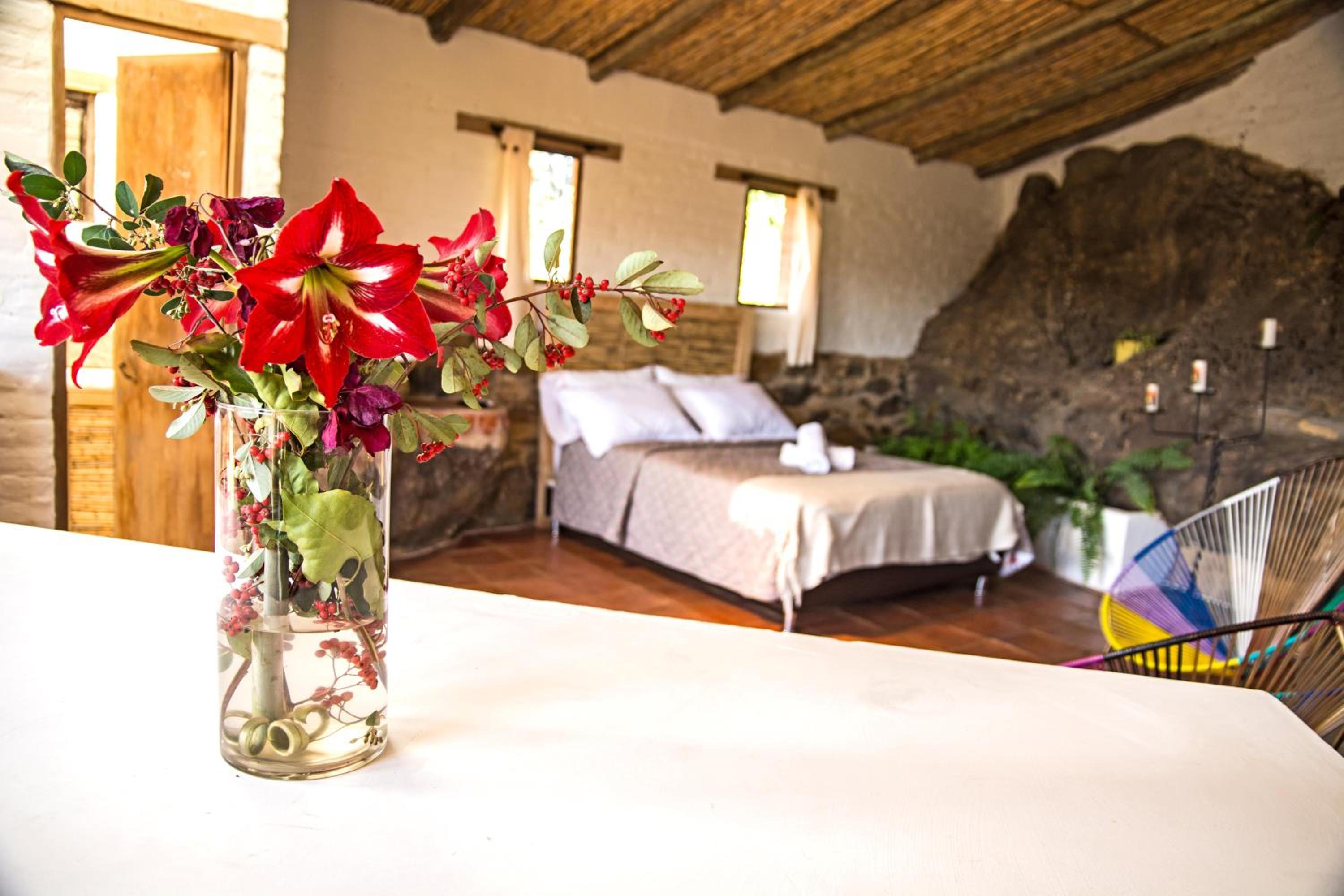 El Hayuelo Ecolodge