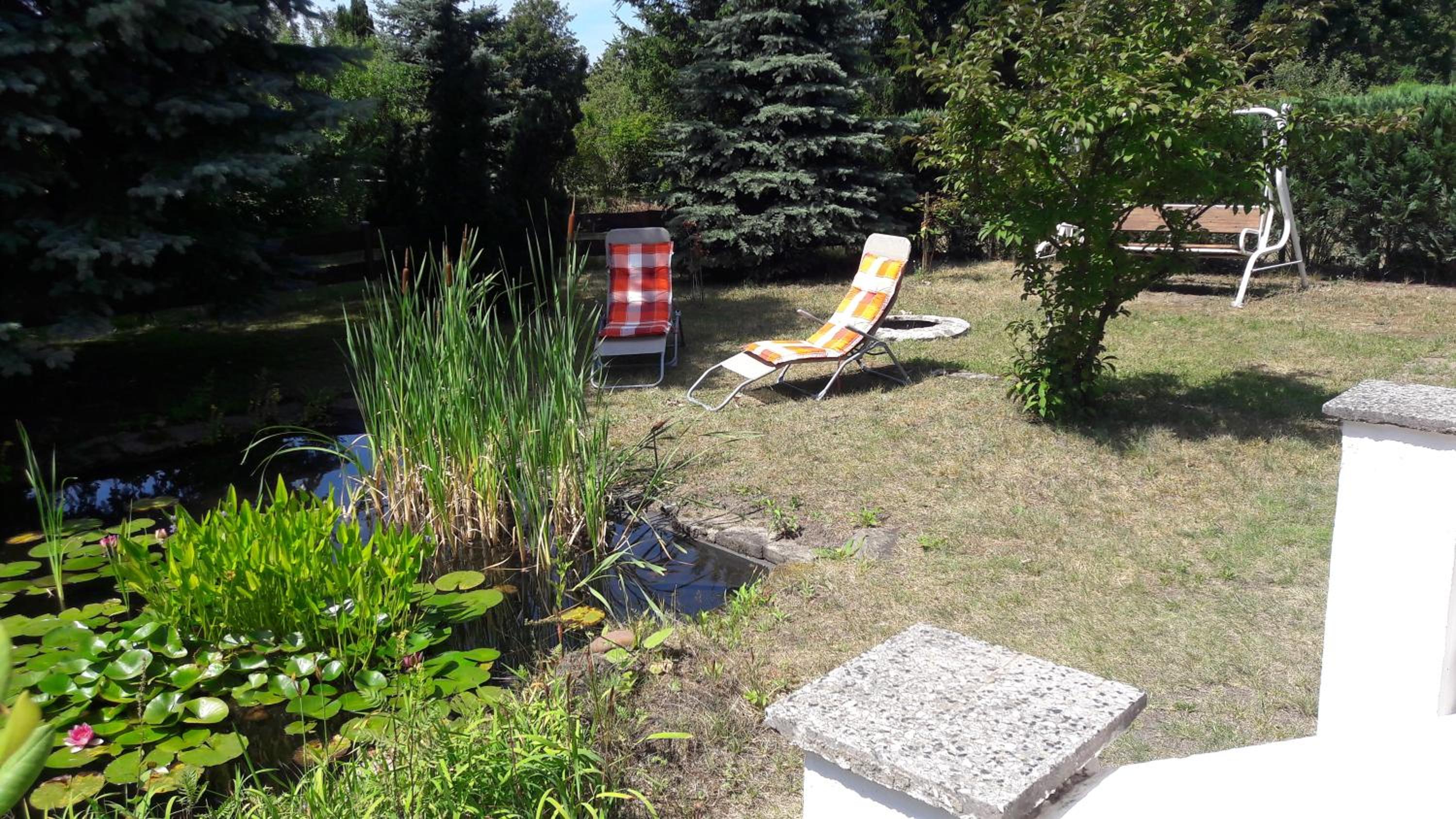 Photo 36