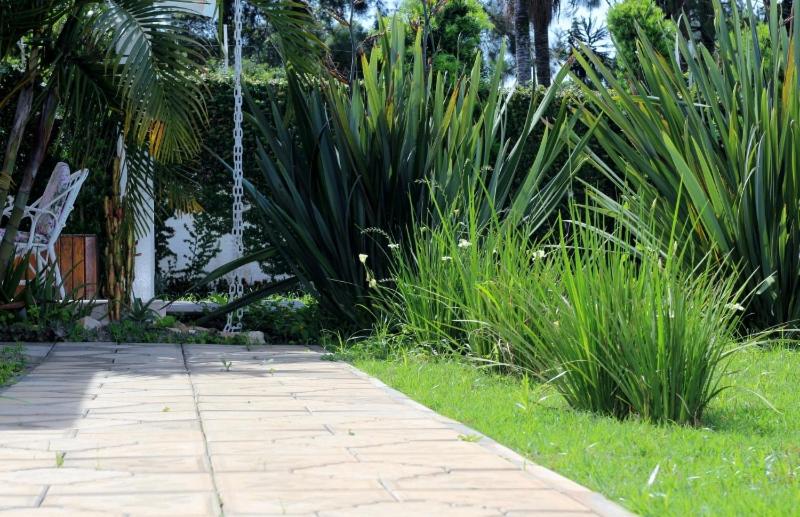 CASA DE CAMPO NA CIDADE DA SAÚDE