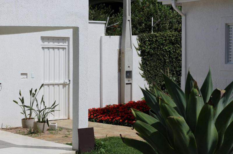 CASA DE CAMPO NA CIDADE DA SAÚDE