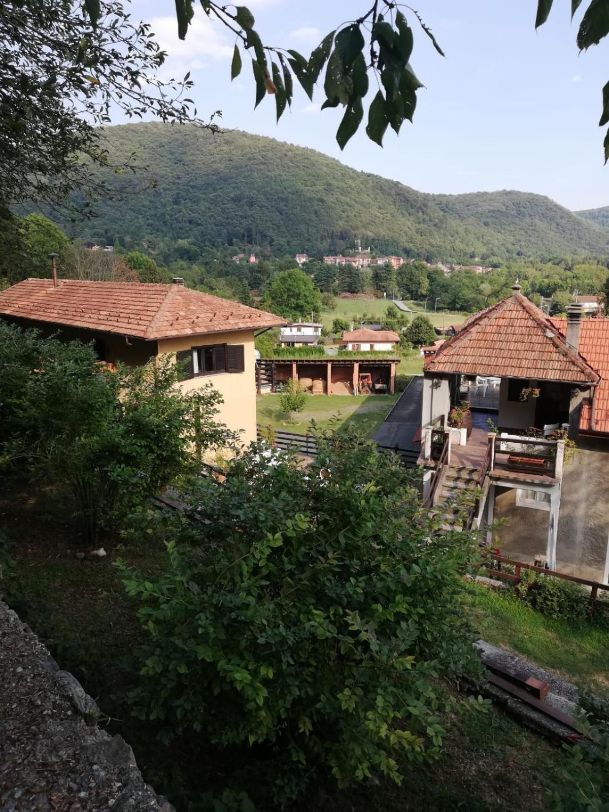 Fattoria del pino view 5