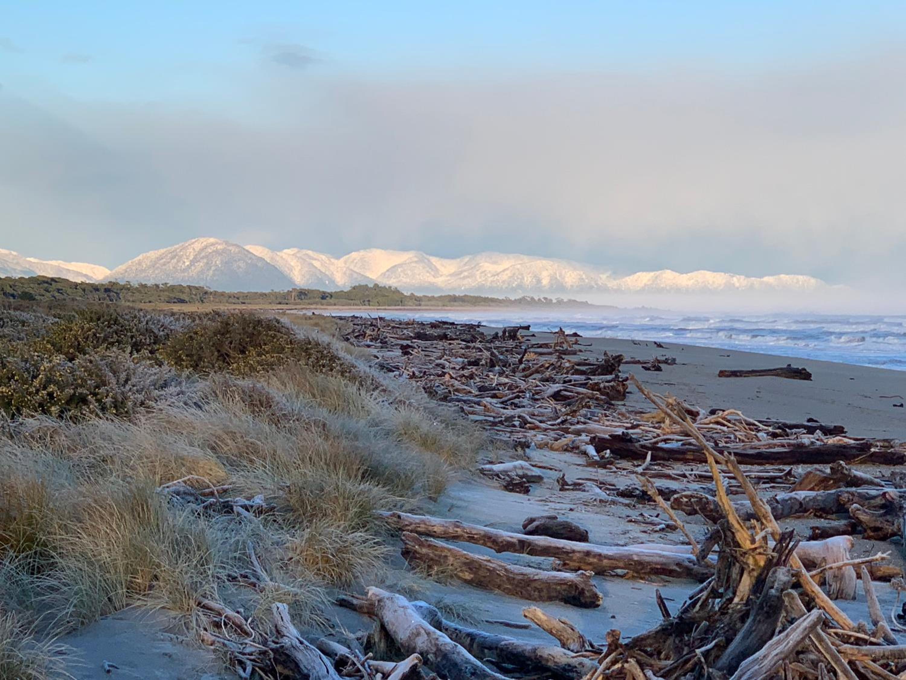 Haast Beach Motel view 4