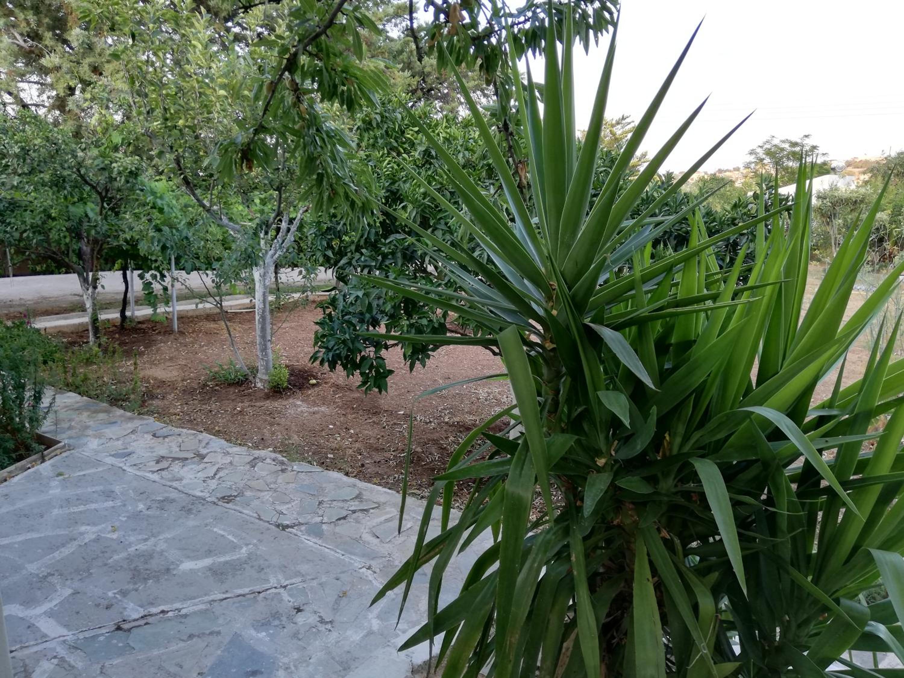 Dreamhome -10min from airport- photo 5