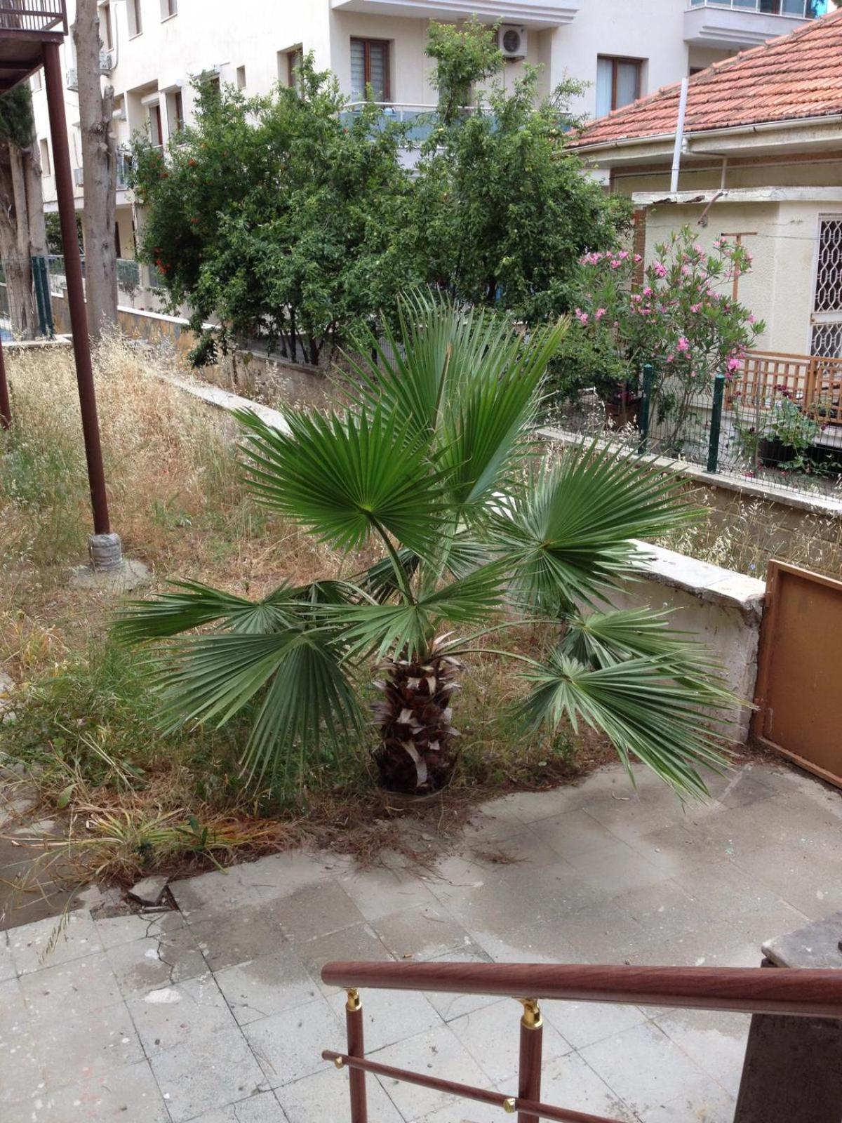 *** DiDiM BEYAZ *** - Image 29