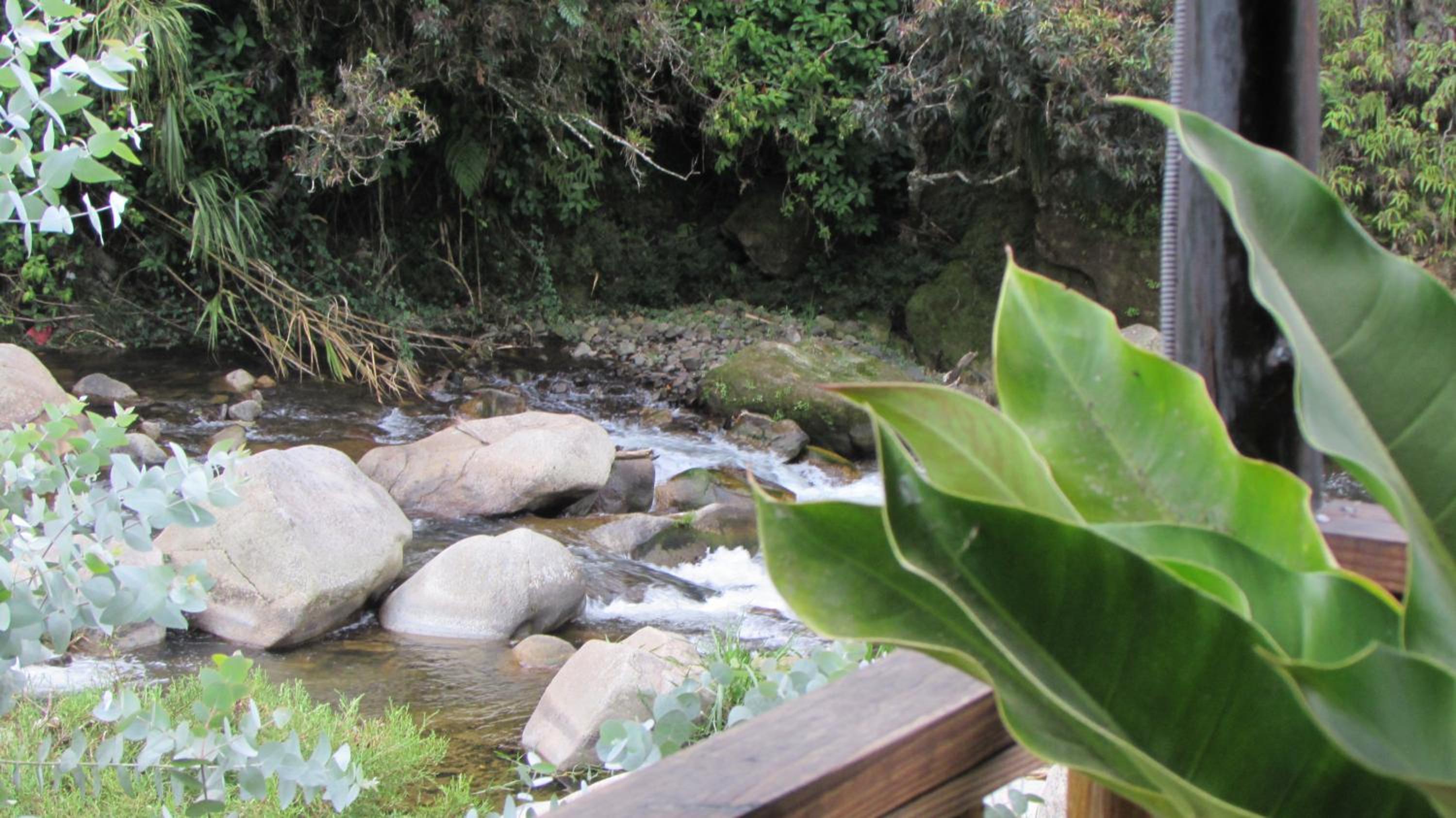 Arroyo Frío River Lodge view 3