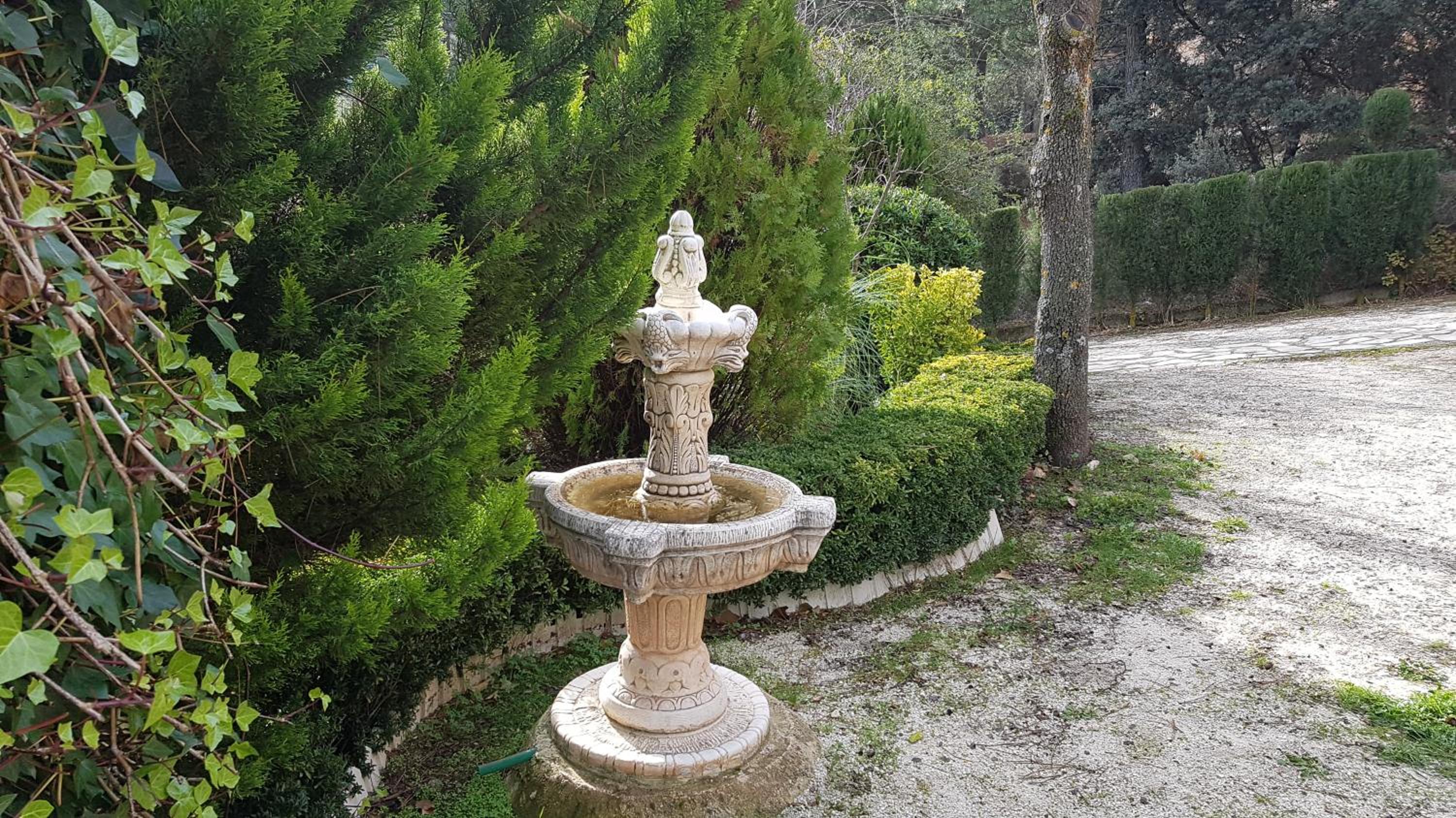 Photo 27