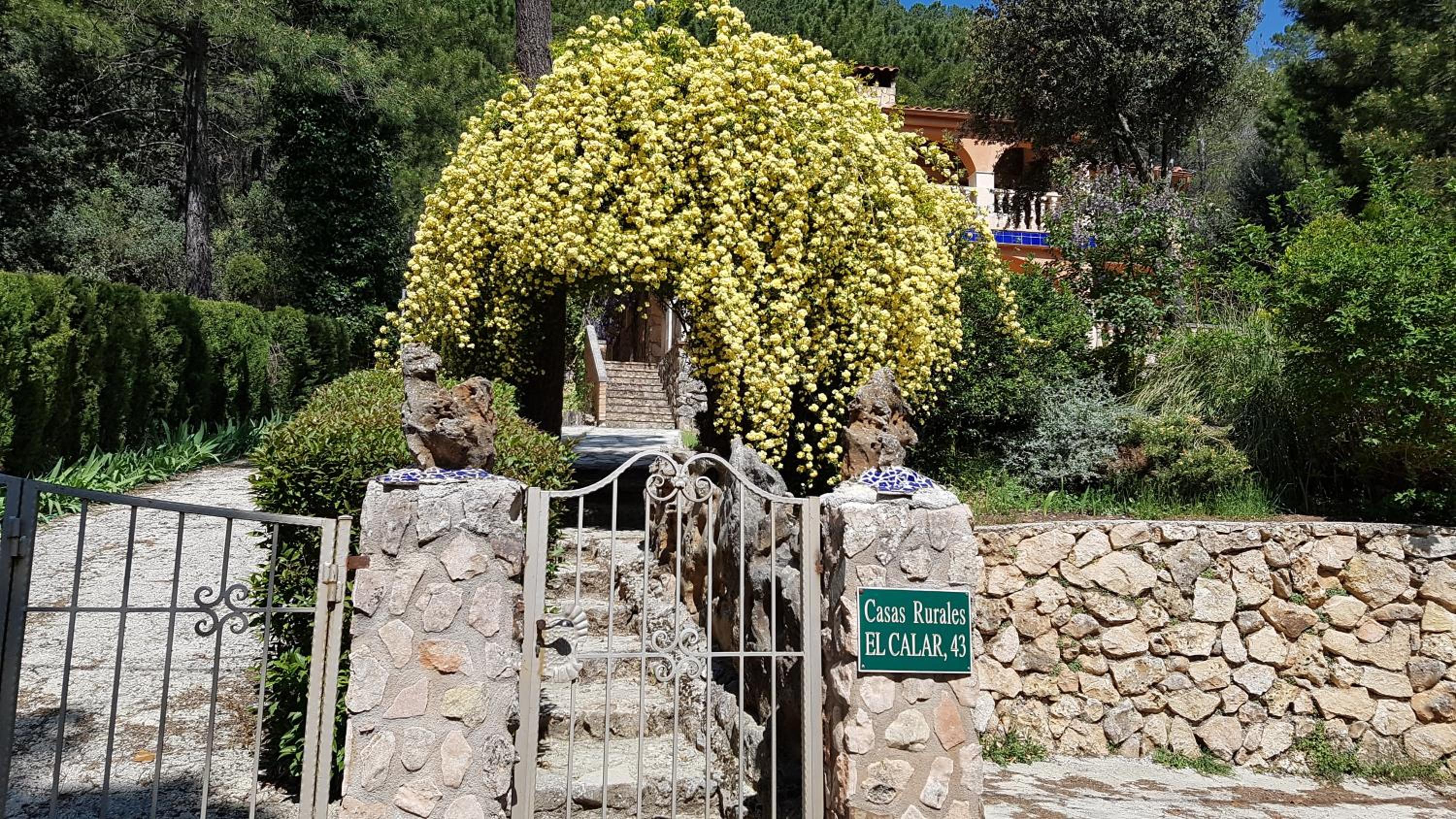 Casas el Calar del Rio Mundo view 2