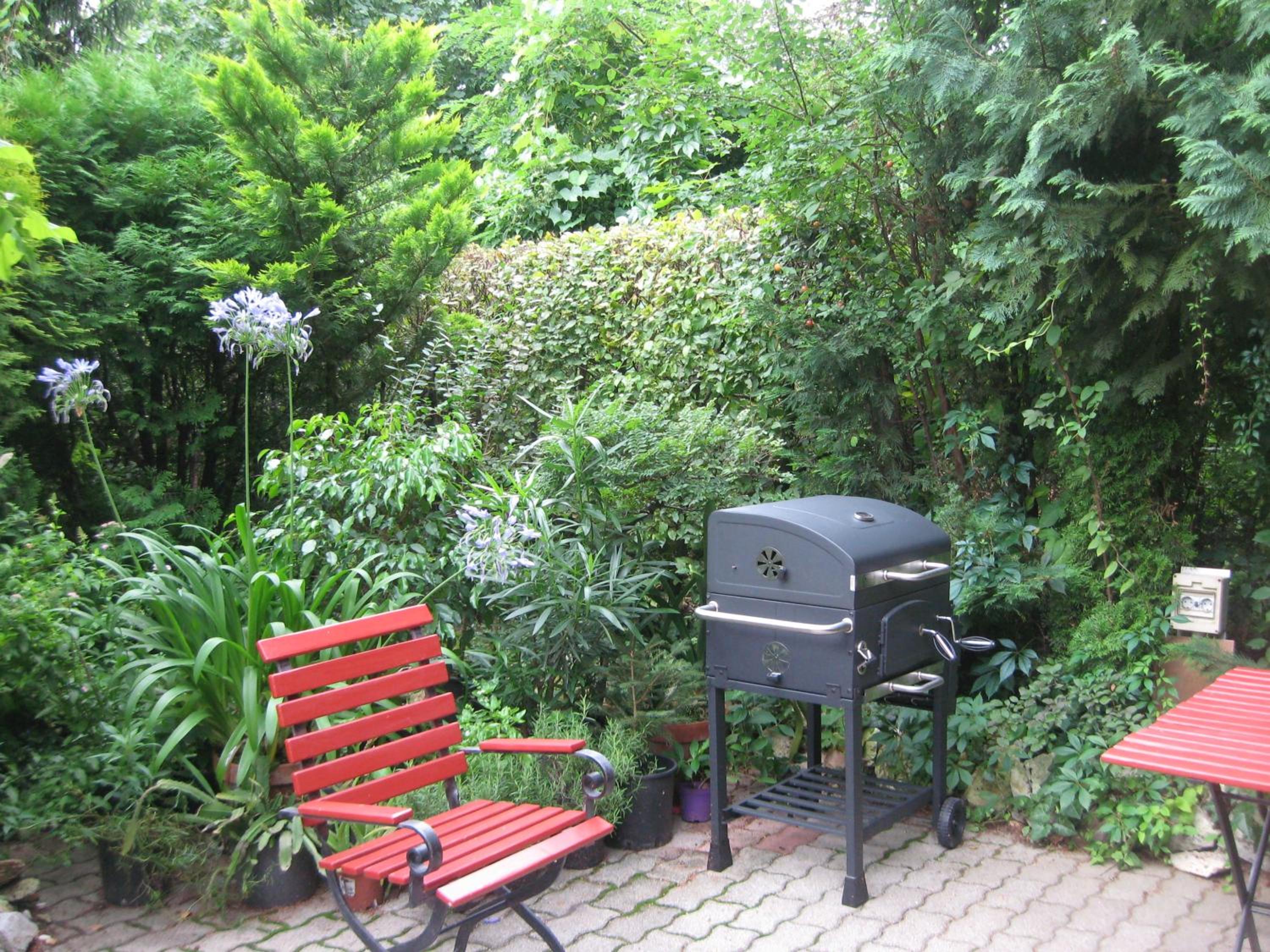 Photo 19