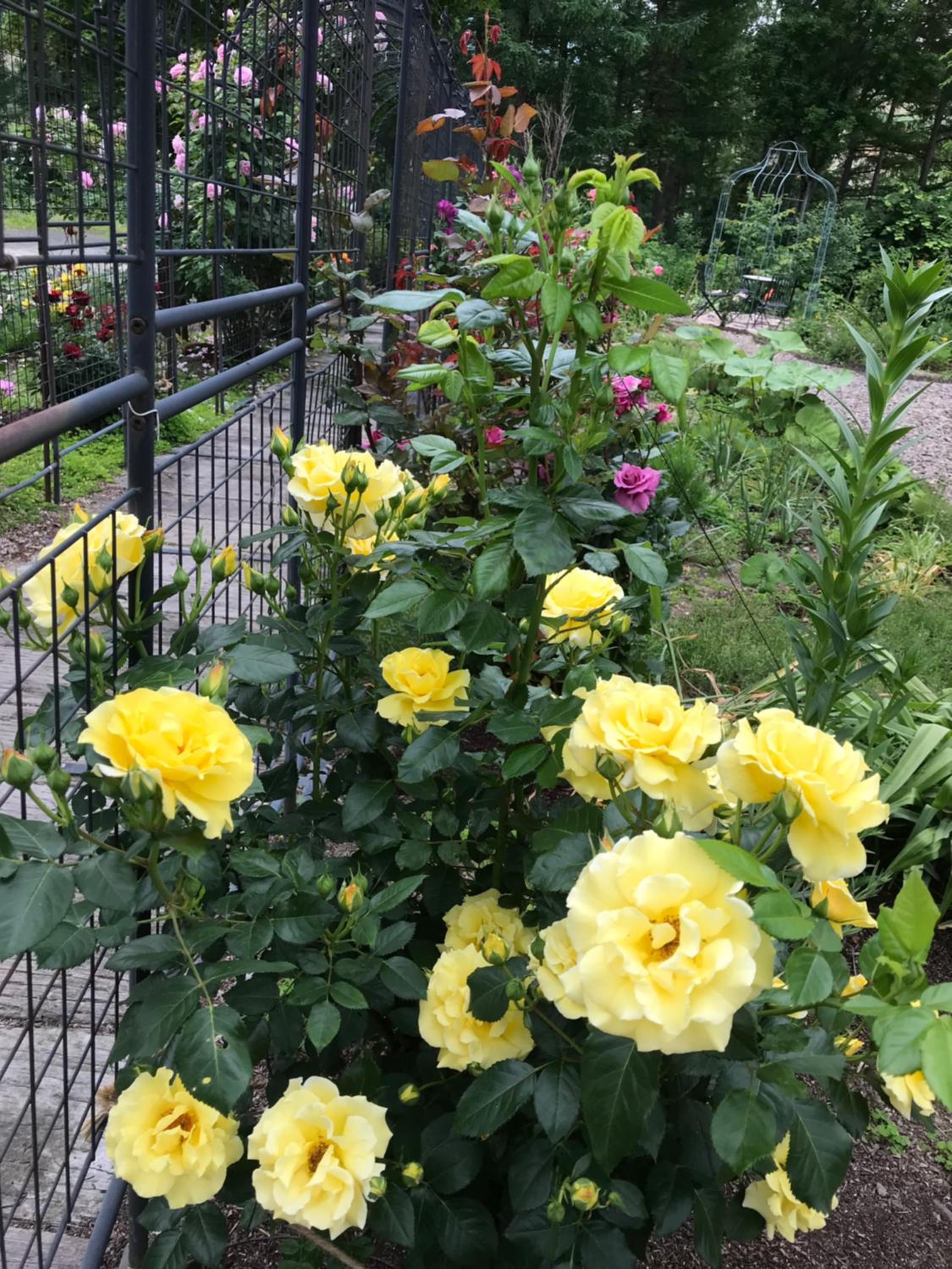 Photo 23