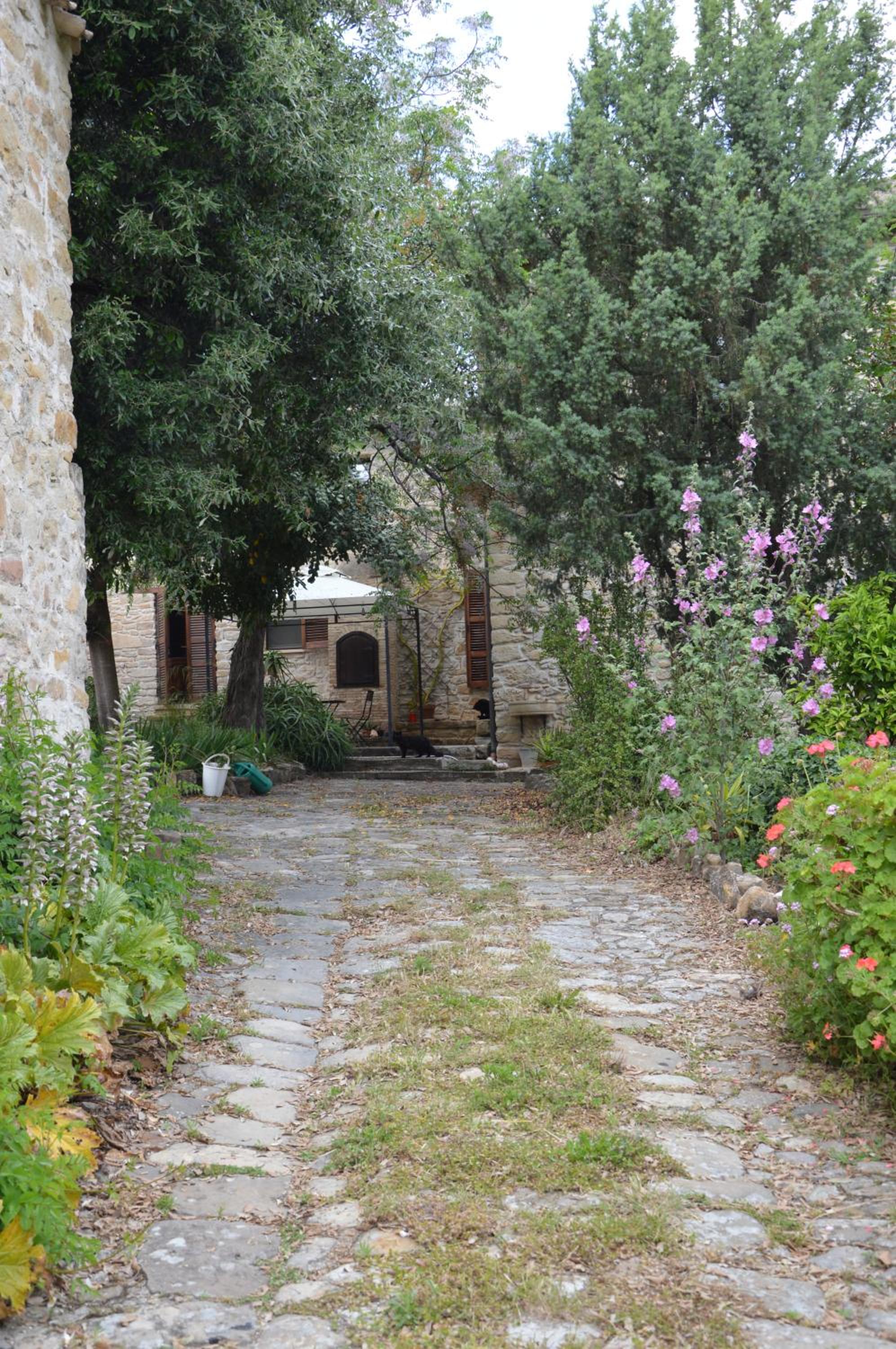 Sa Domu de sa Contissa view 3