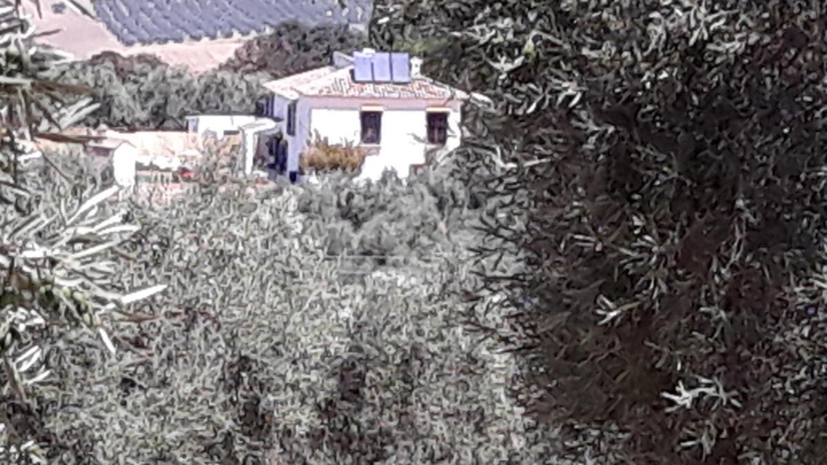 Cortijo la Dehesa del Trabuco view 3