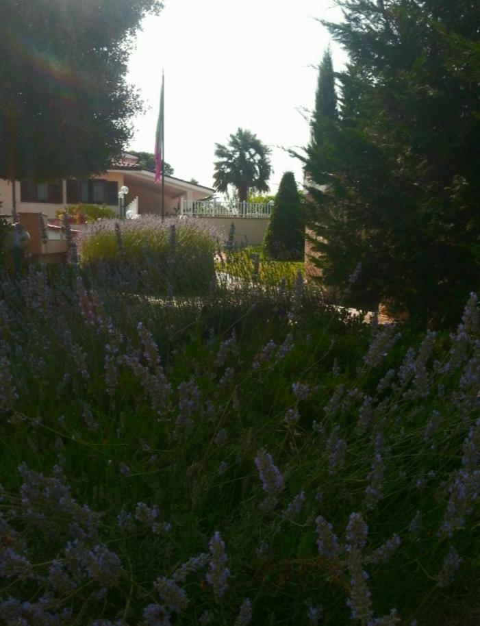 B&B Joy view 5