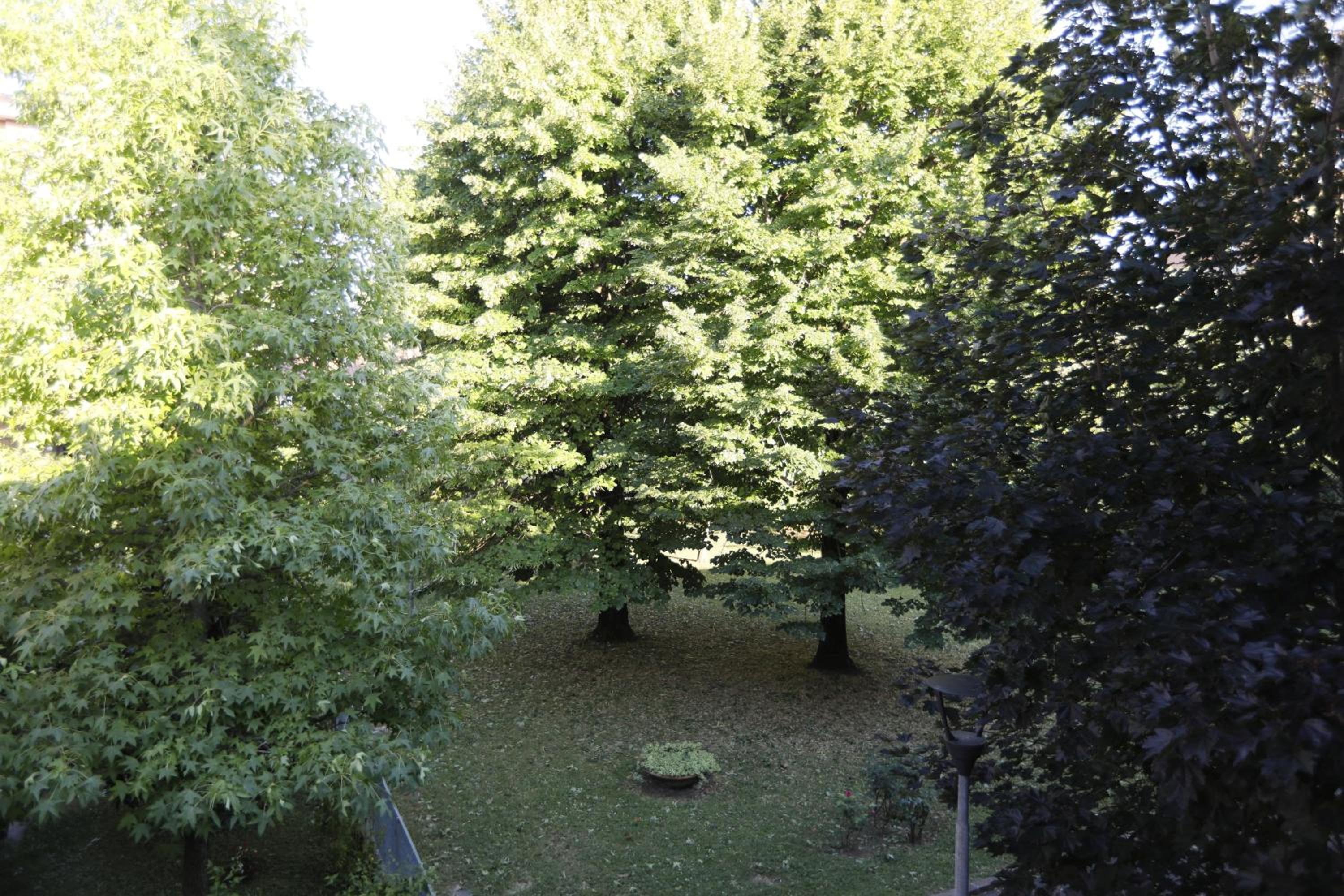 Pisacane61 B&B photo 3