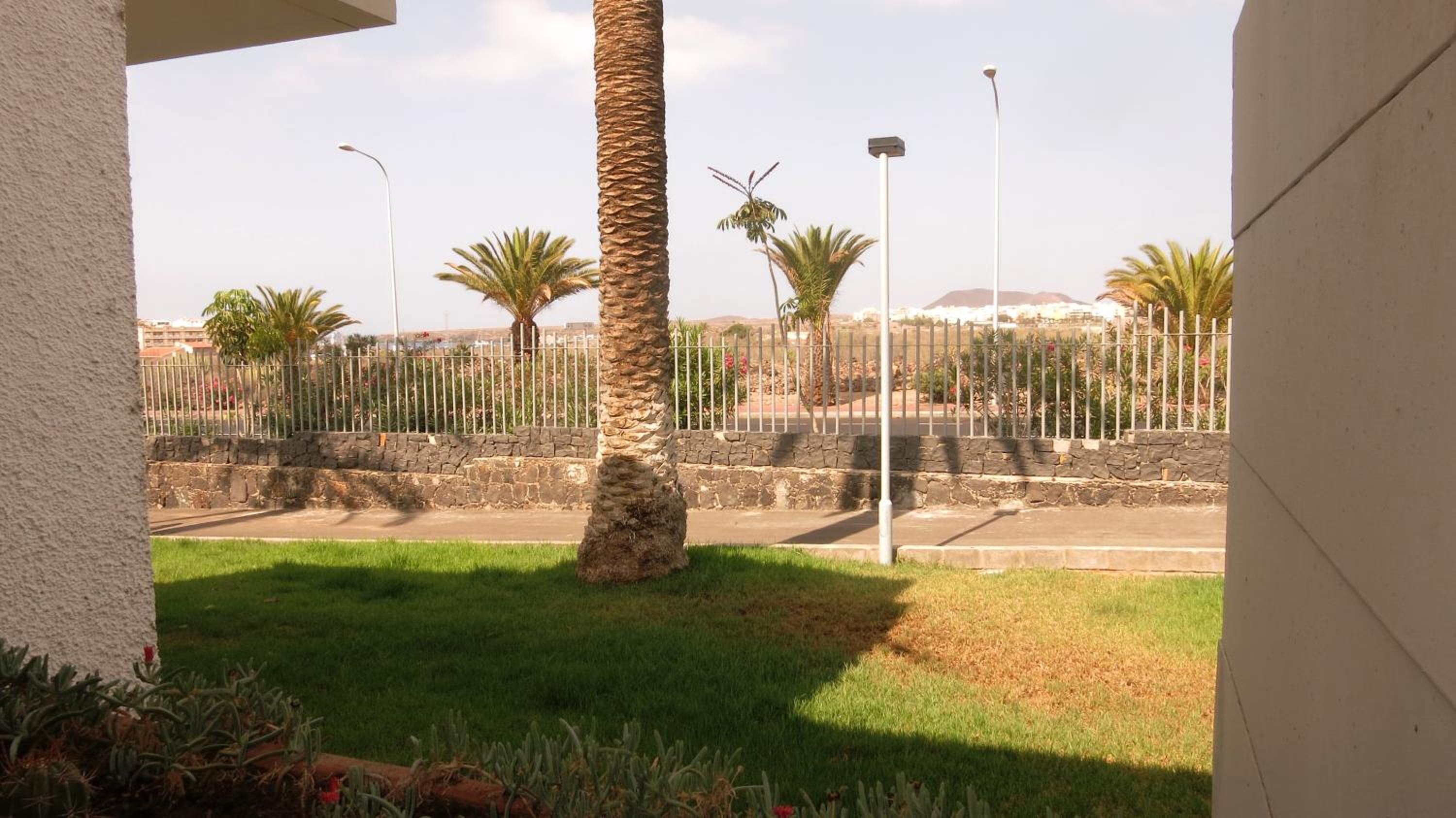 South Tenerife 471 view 2