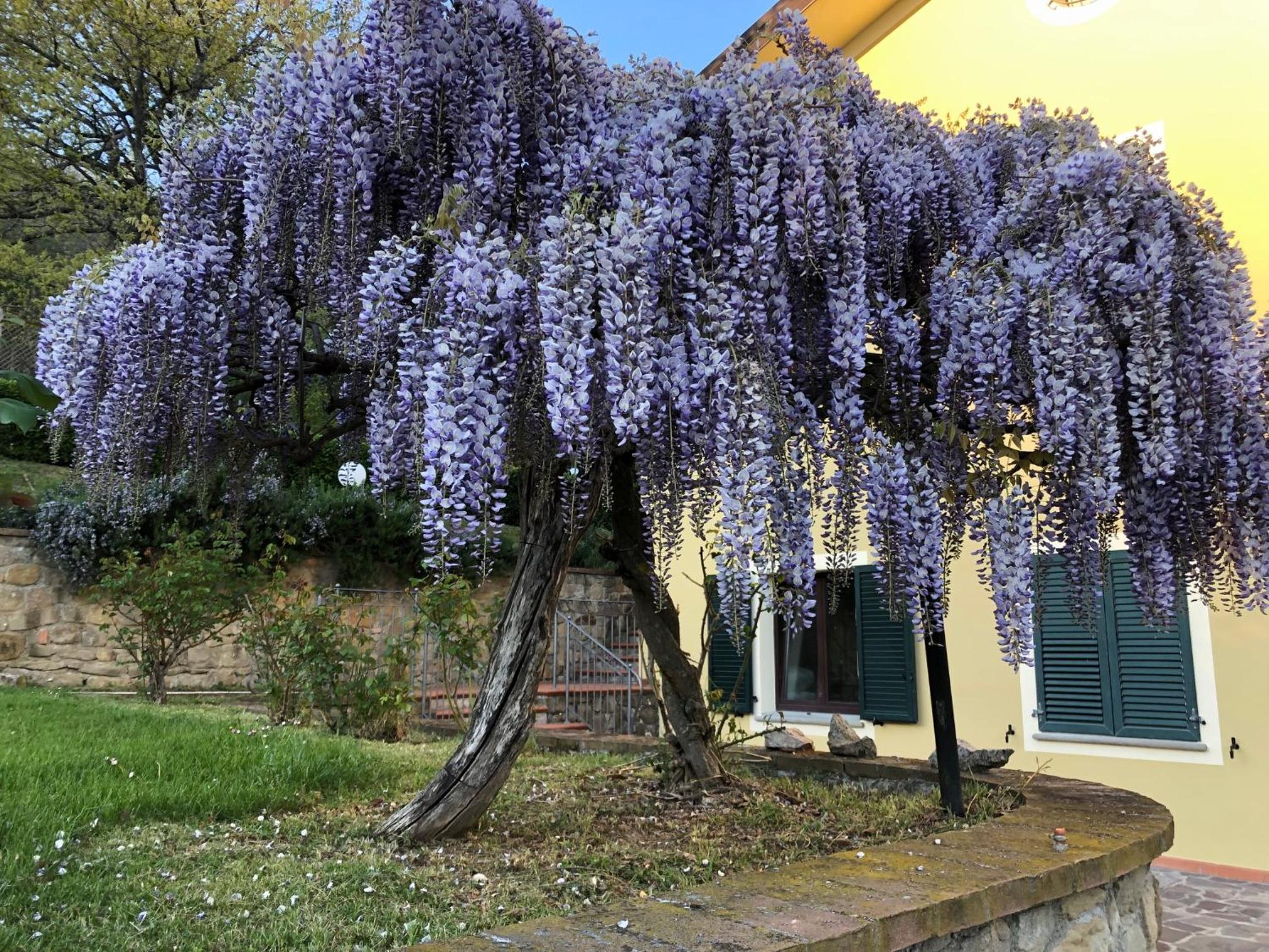 Casa Vacanze Villa Antonietta view 2
