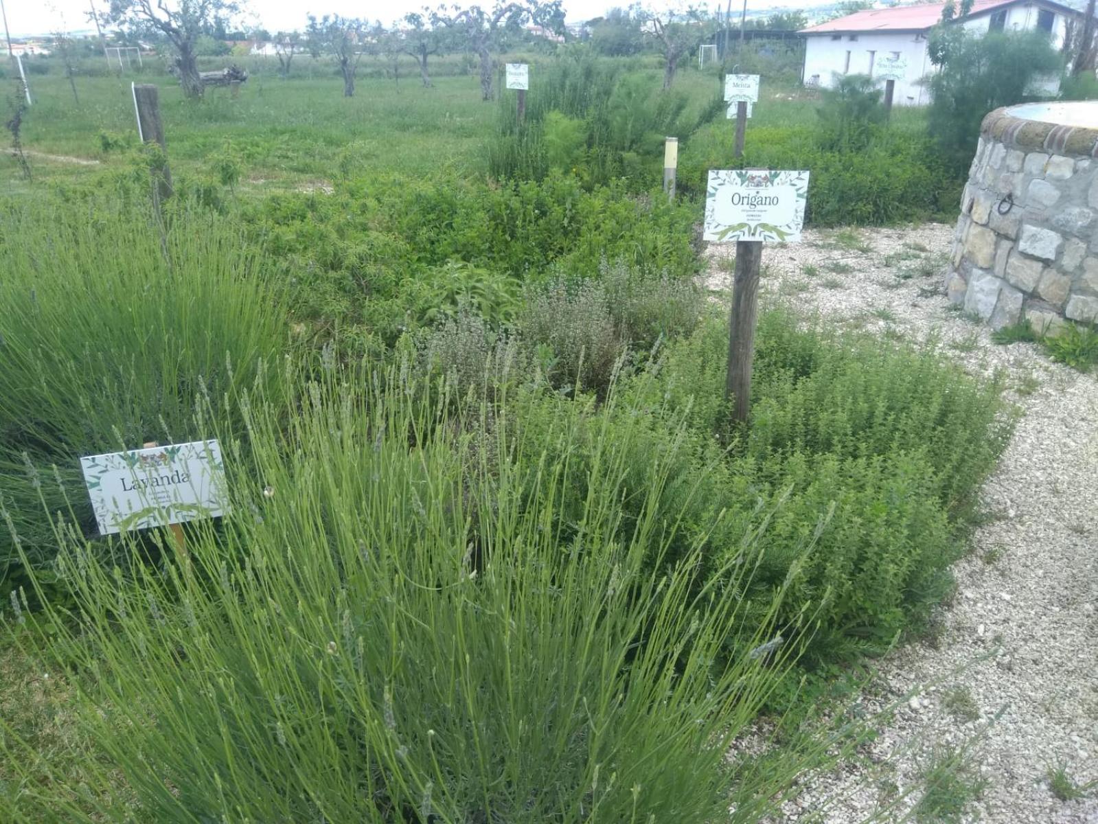 Photo 29