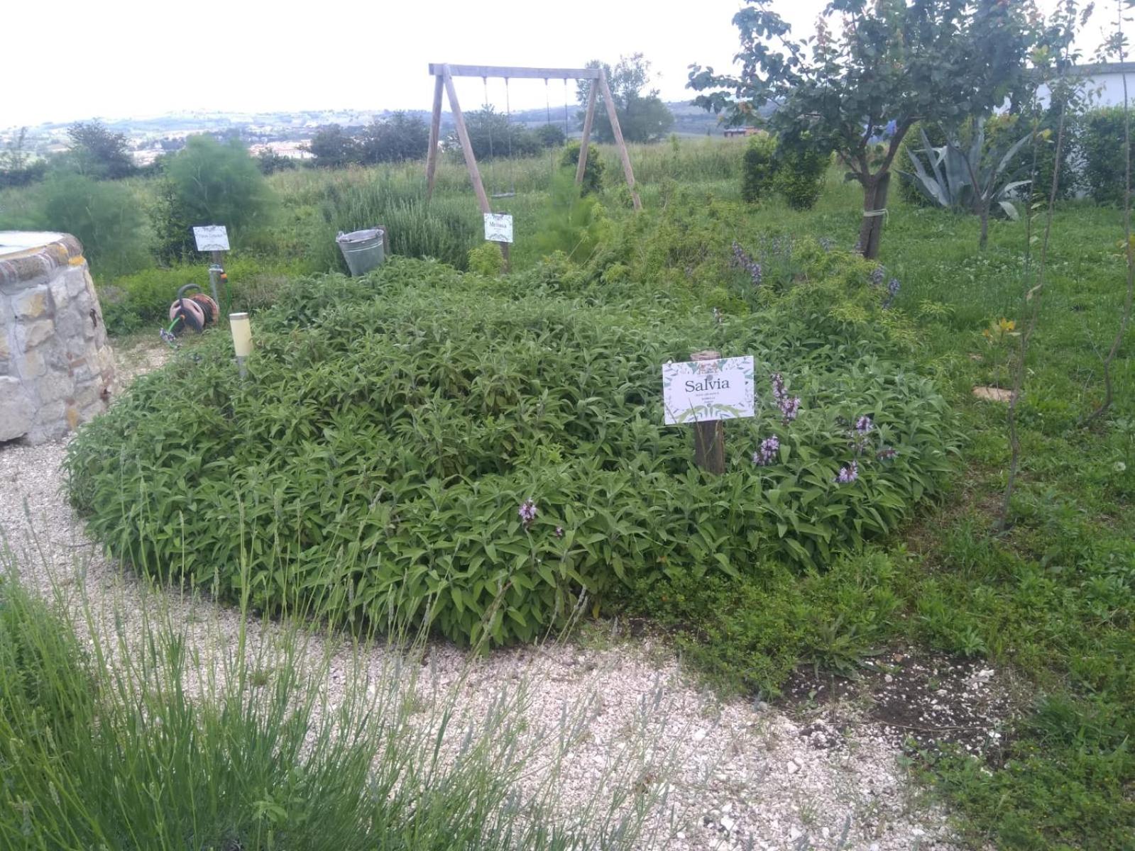 Photo 32