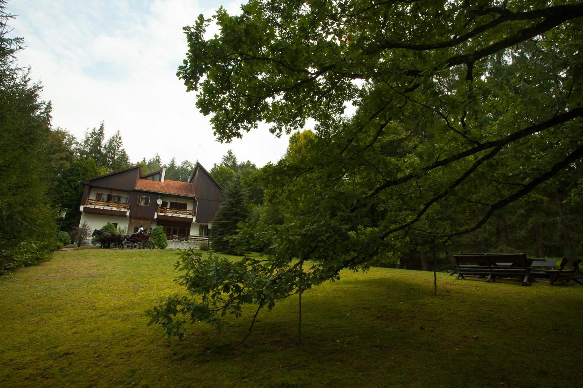 Photo 51