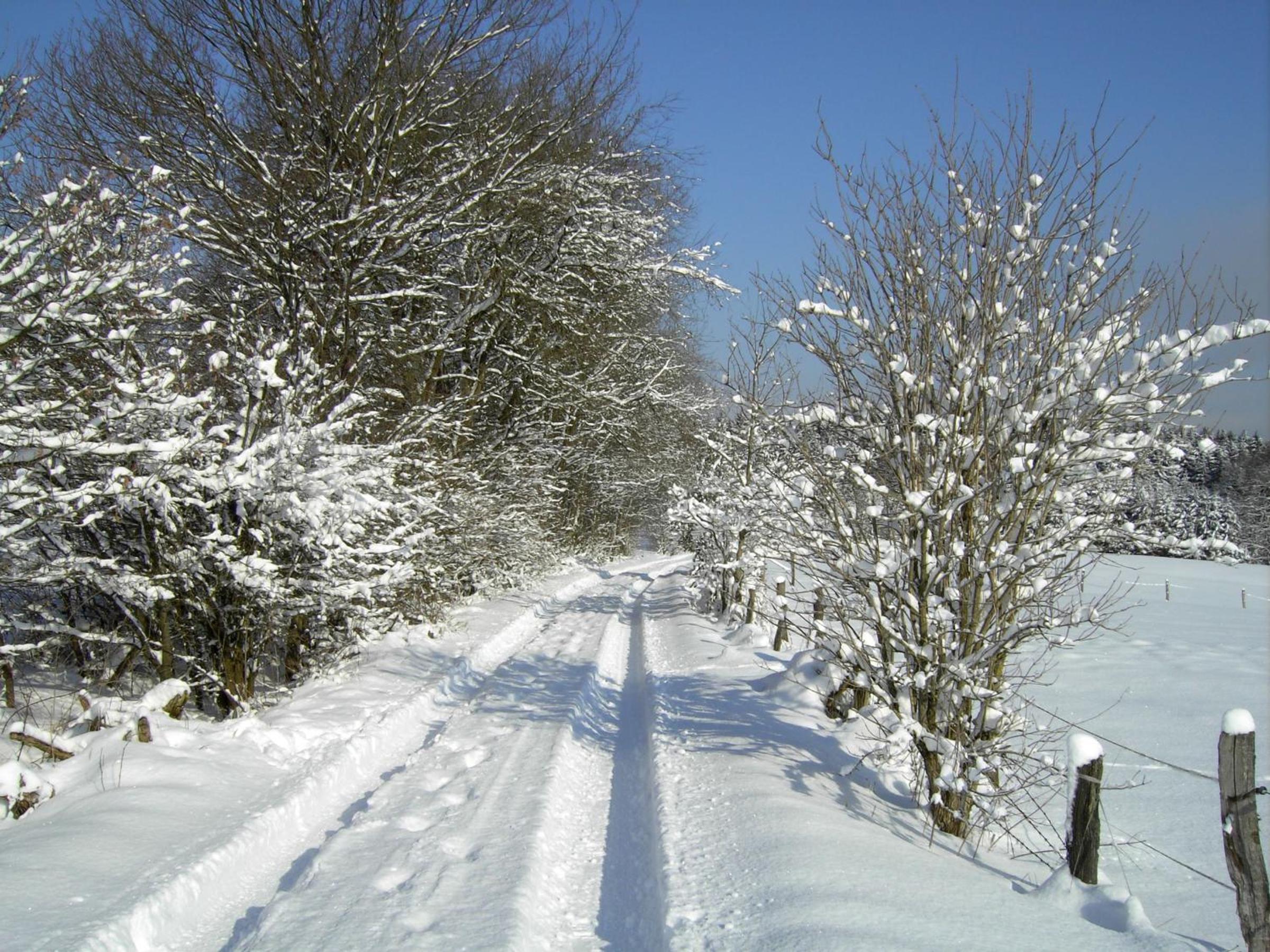 Photo 42