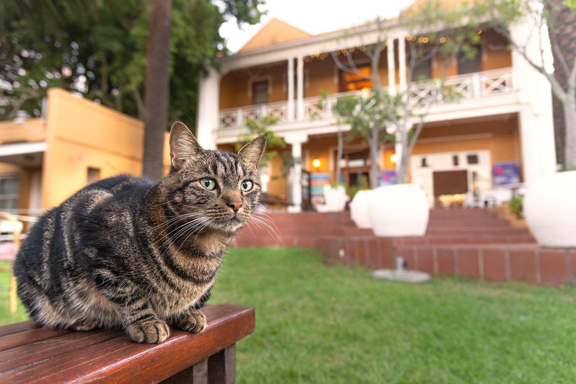 Ashanti Lodge Backpackers