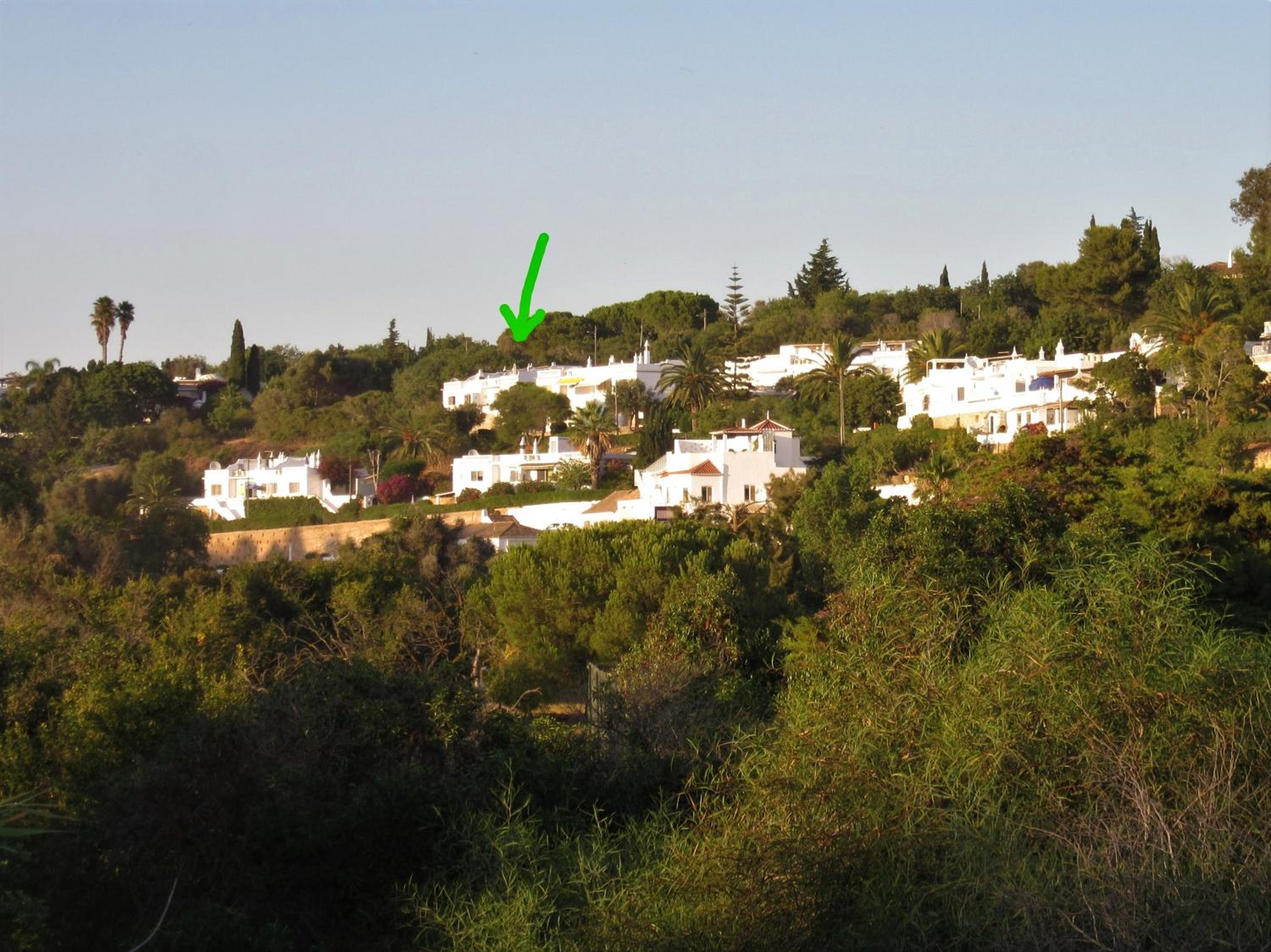 Photo 45