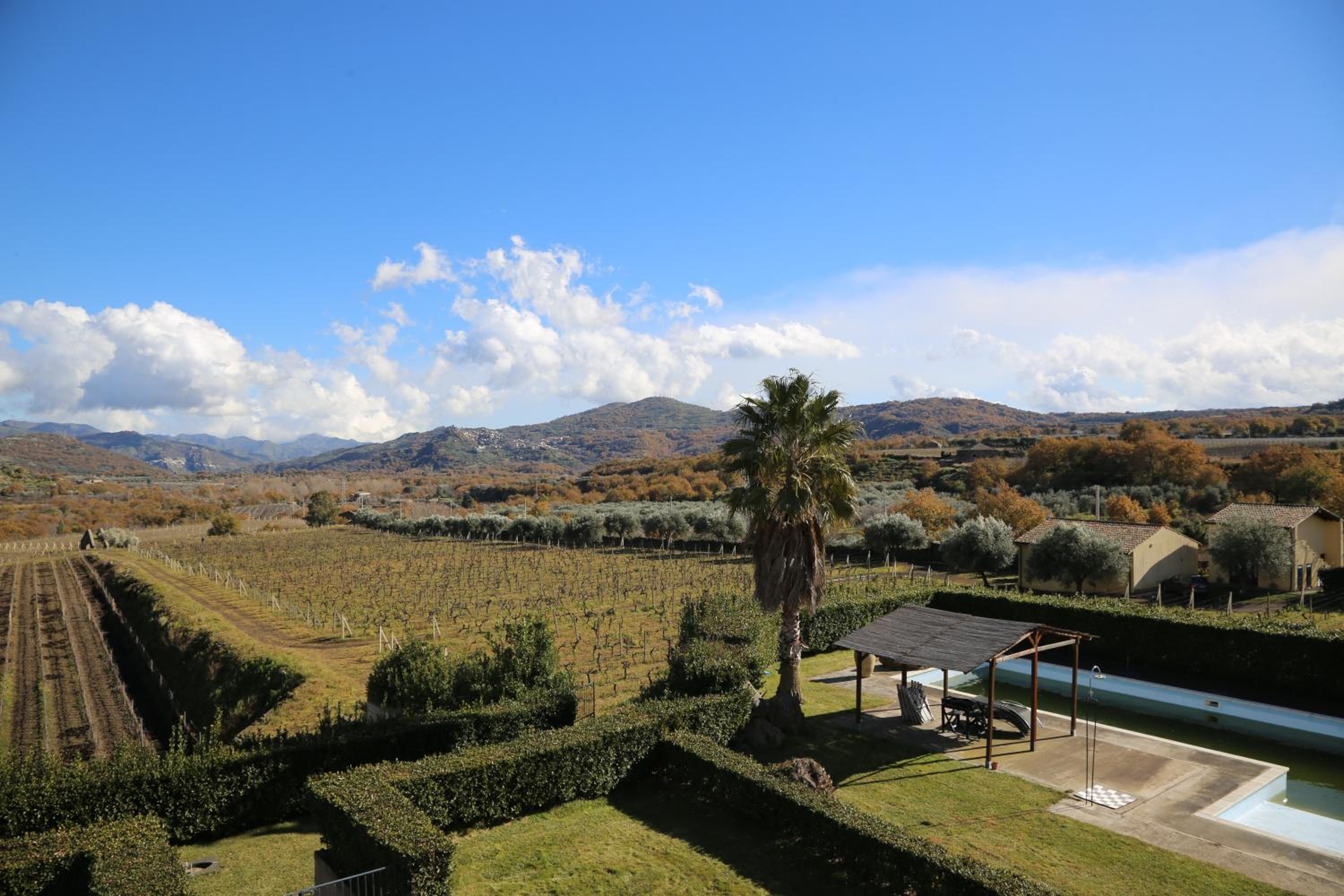 Villa dei Baroni Wine Resort view 4