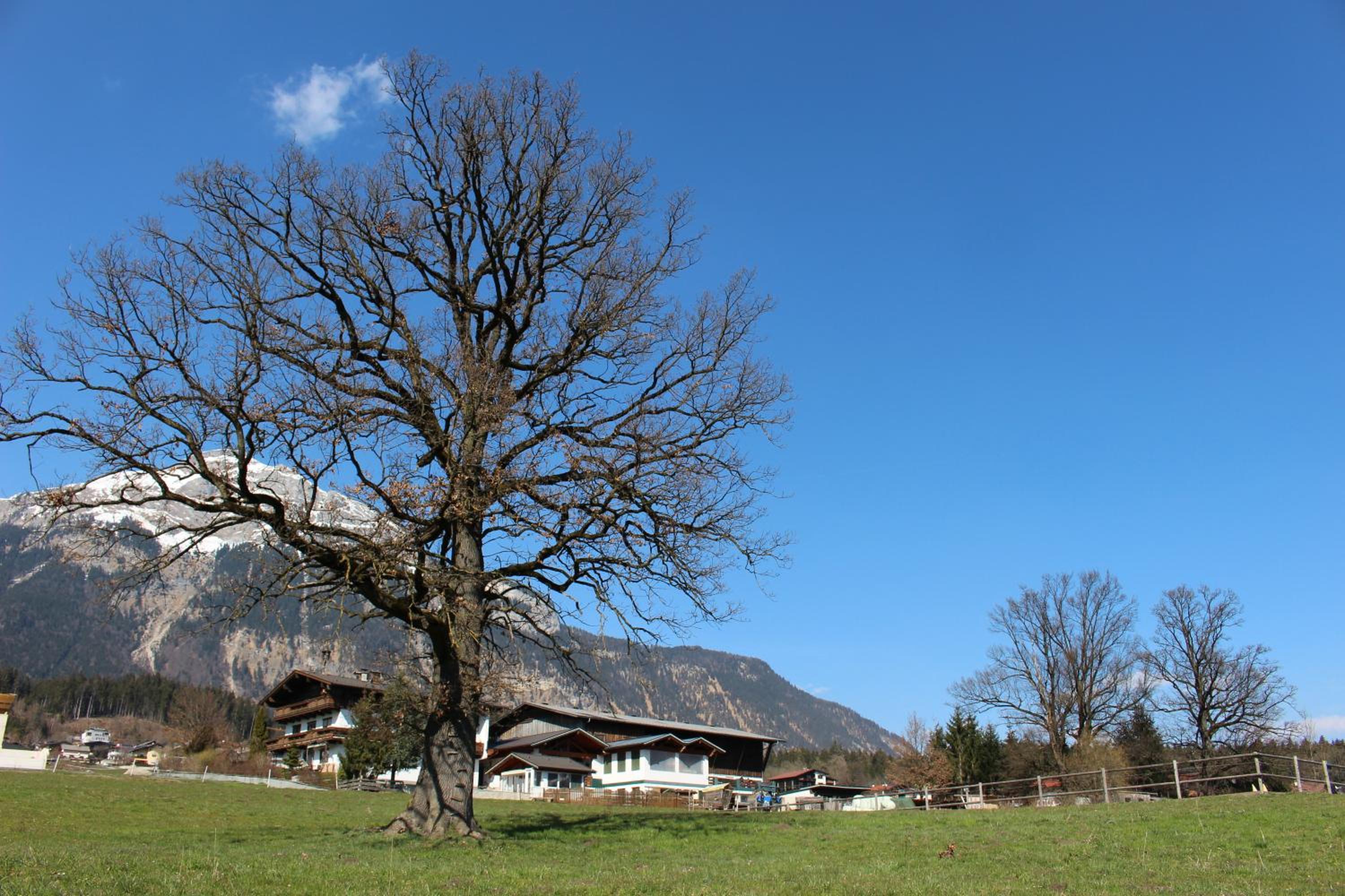 Lamplhof B&B
