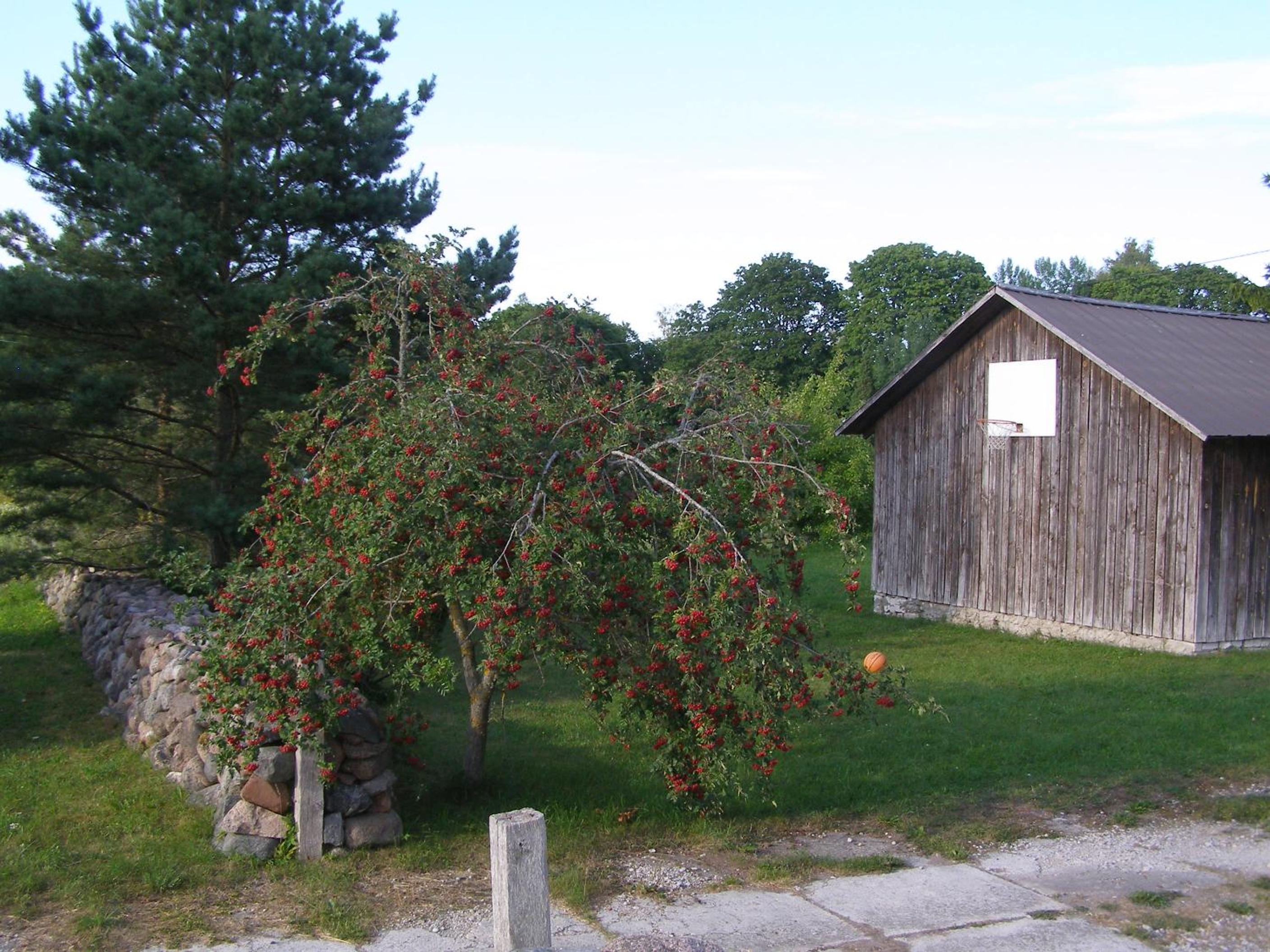 Kipi-Koovi Holiday Centre