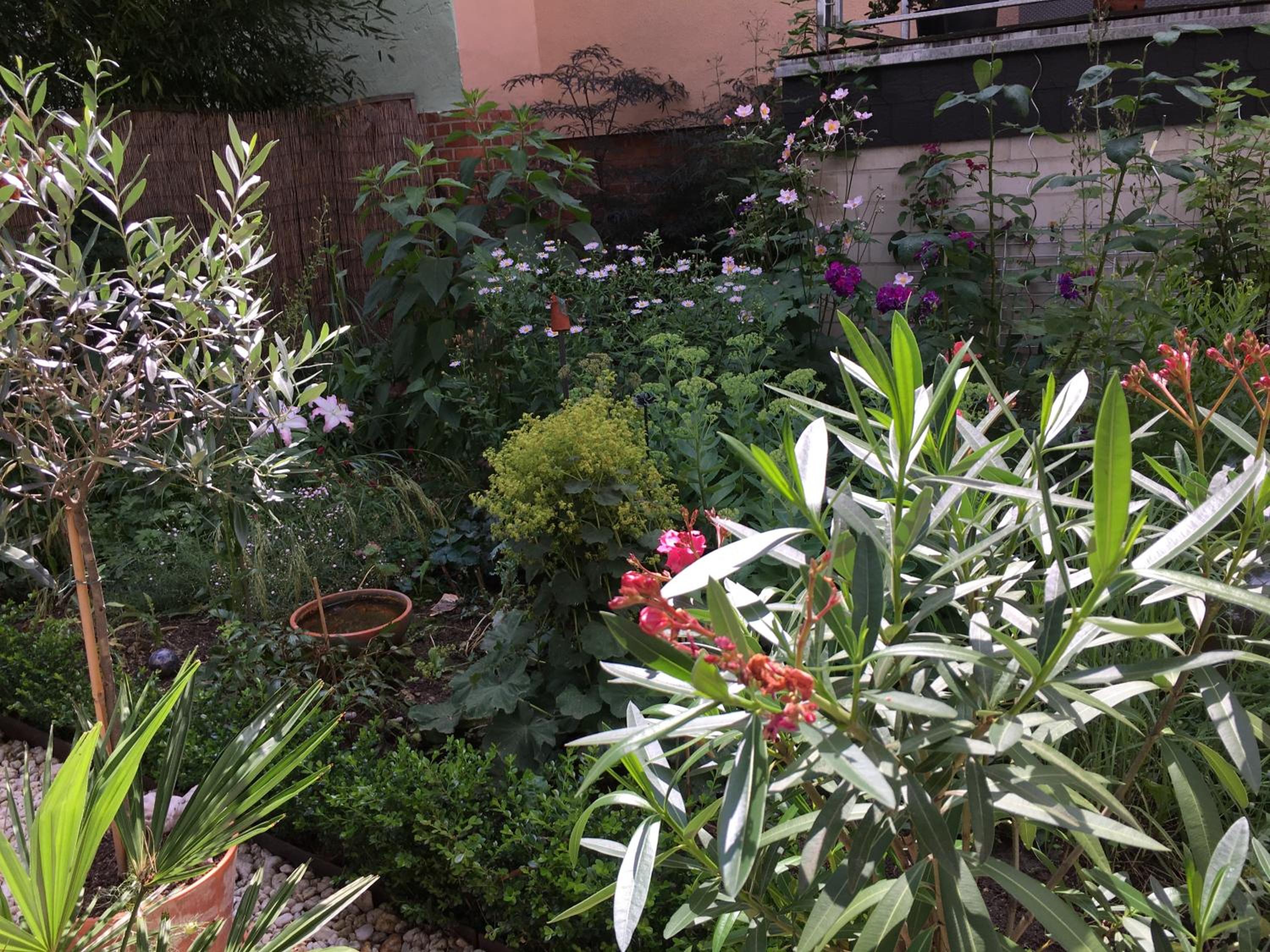 Photo 26