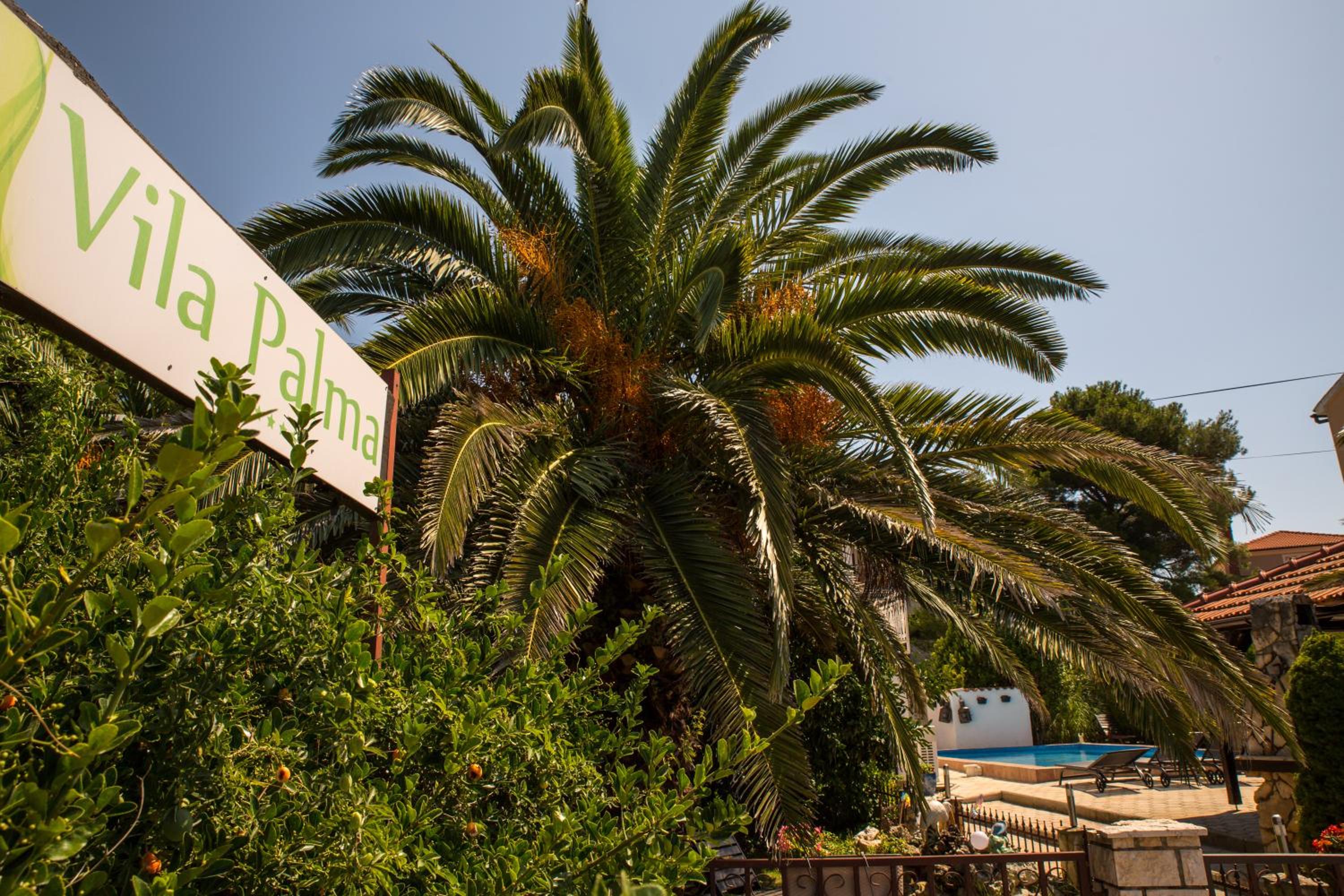 Apartments Vila Palma view 2